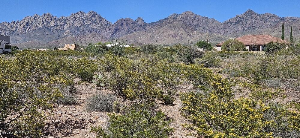 4999 Modoc Road Property Photo 7