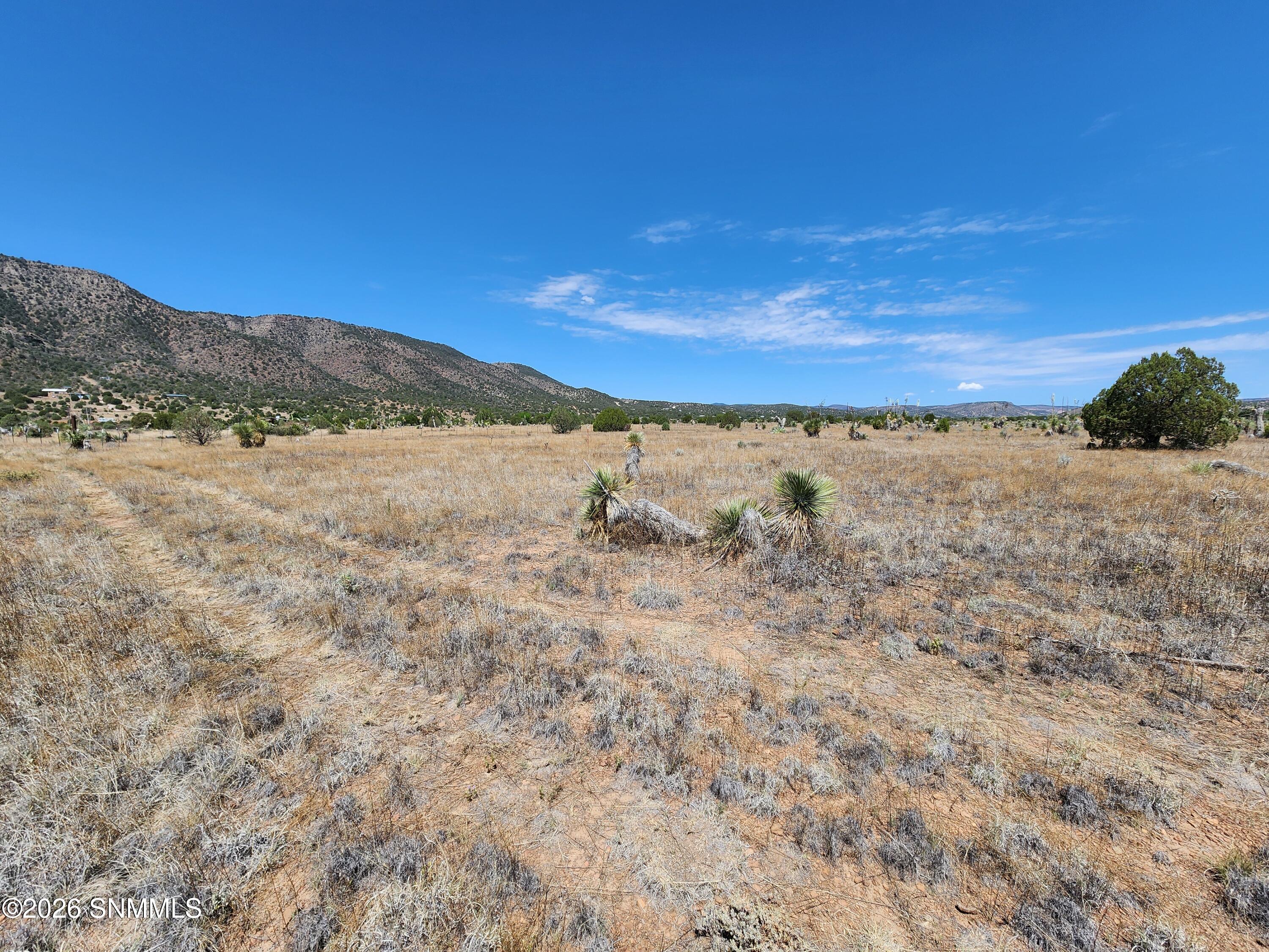 2871 Highway 35 Property Photo 4