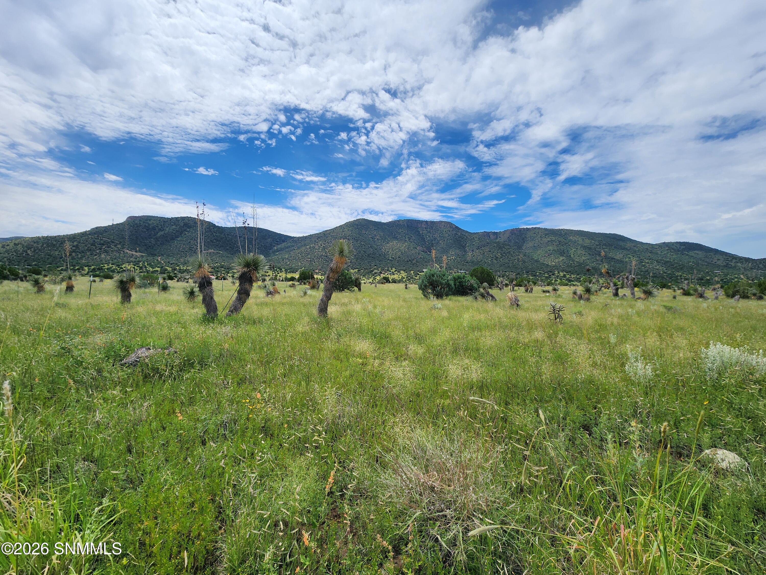 2871 Highway 35 Property Photo 17