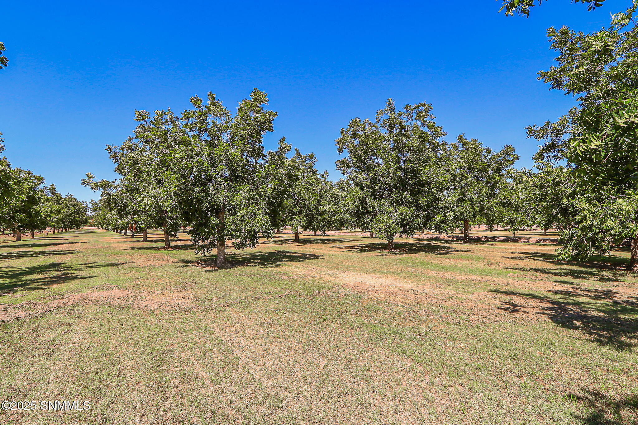10917 N Valley Drive Property Photo 66