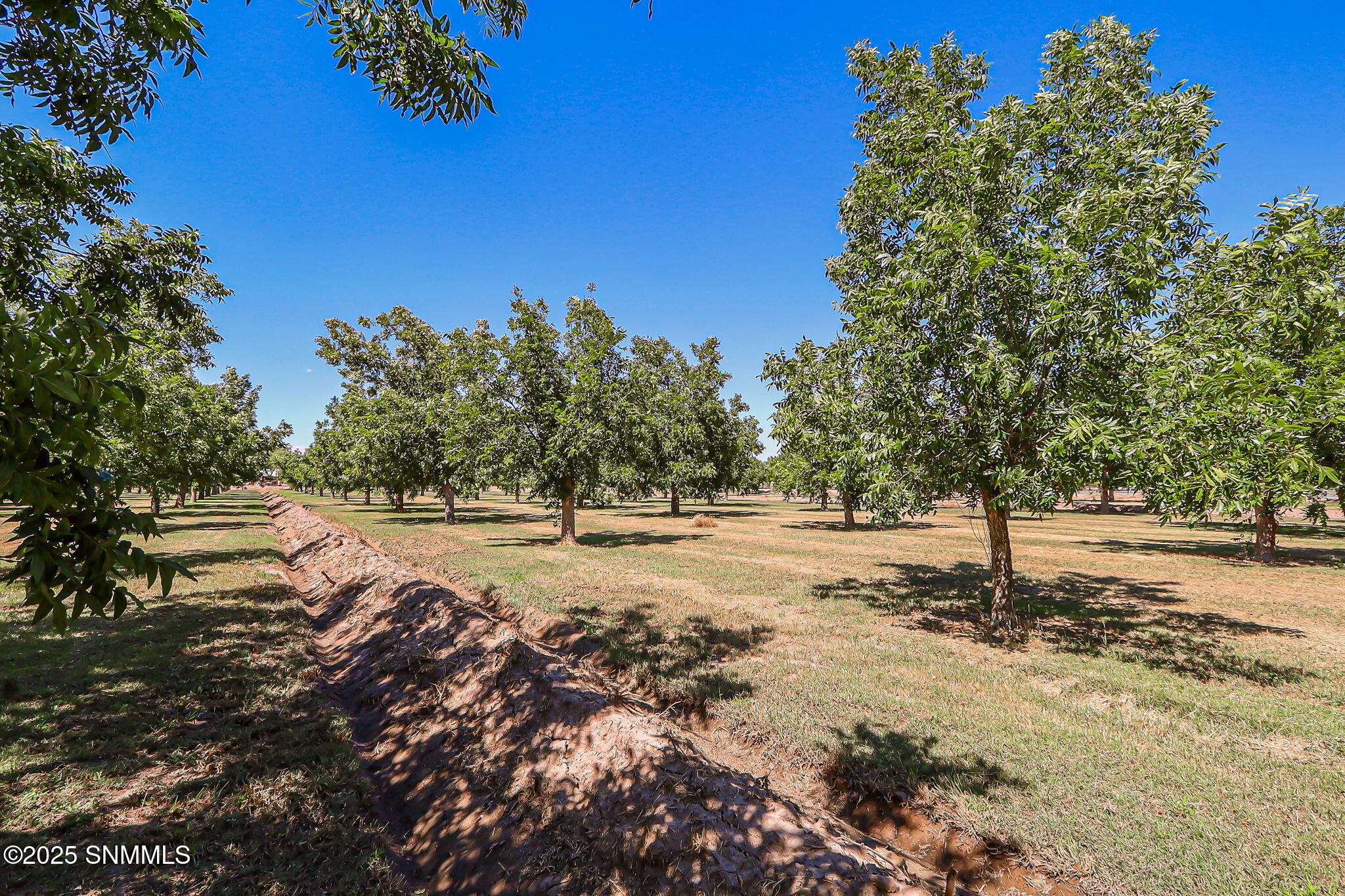 10917 N Valley Drive Property Photo 67