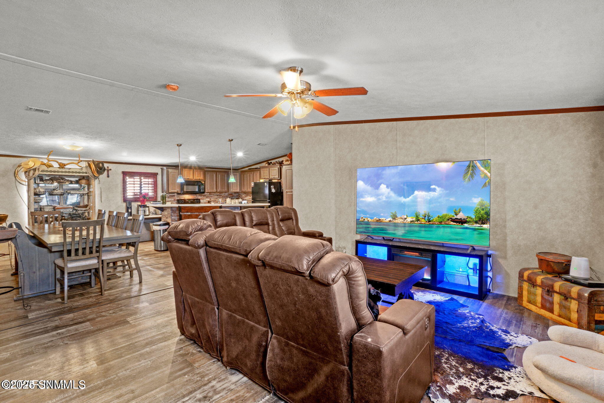 1171 Camino Real Drive Property Photo 4