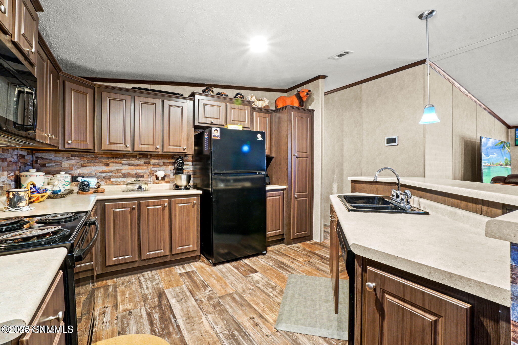 1171 Camino Real Drive Property Photo 15