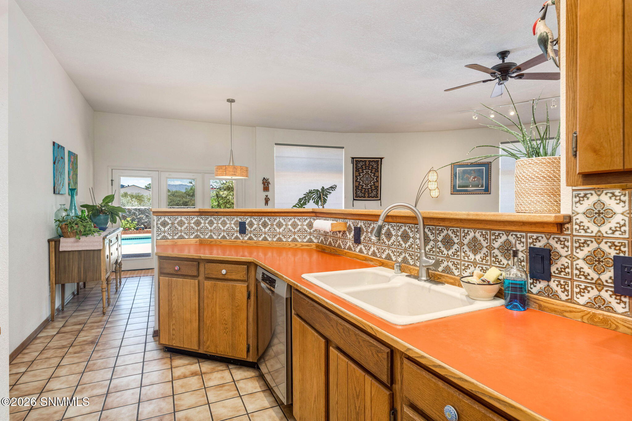 4155 Sotol Drive Property Photo 16