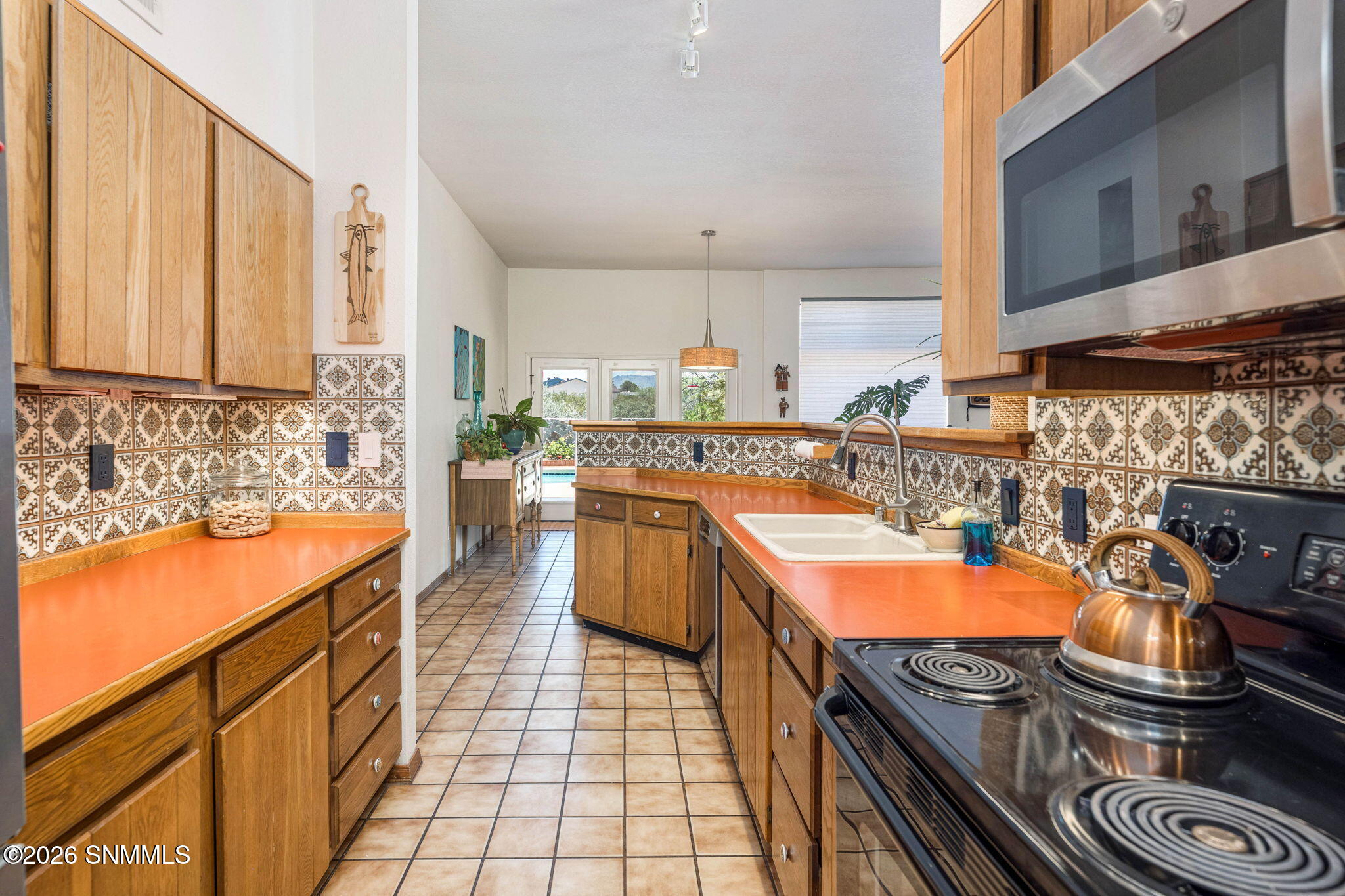 4155 Sotol Drive Property Photo 17