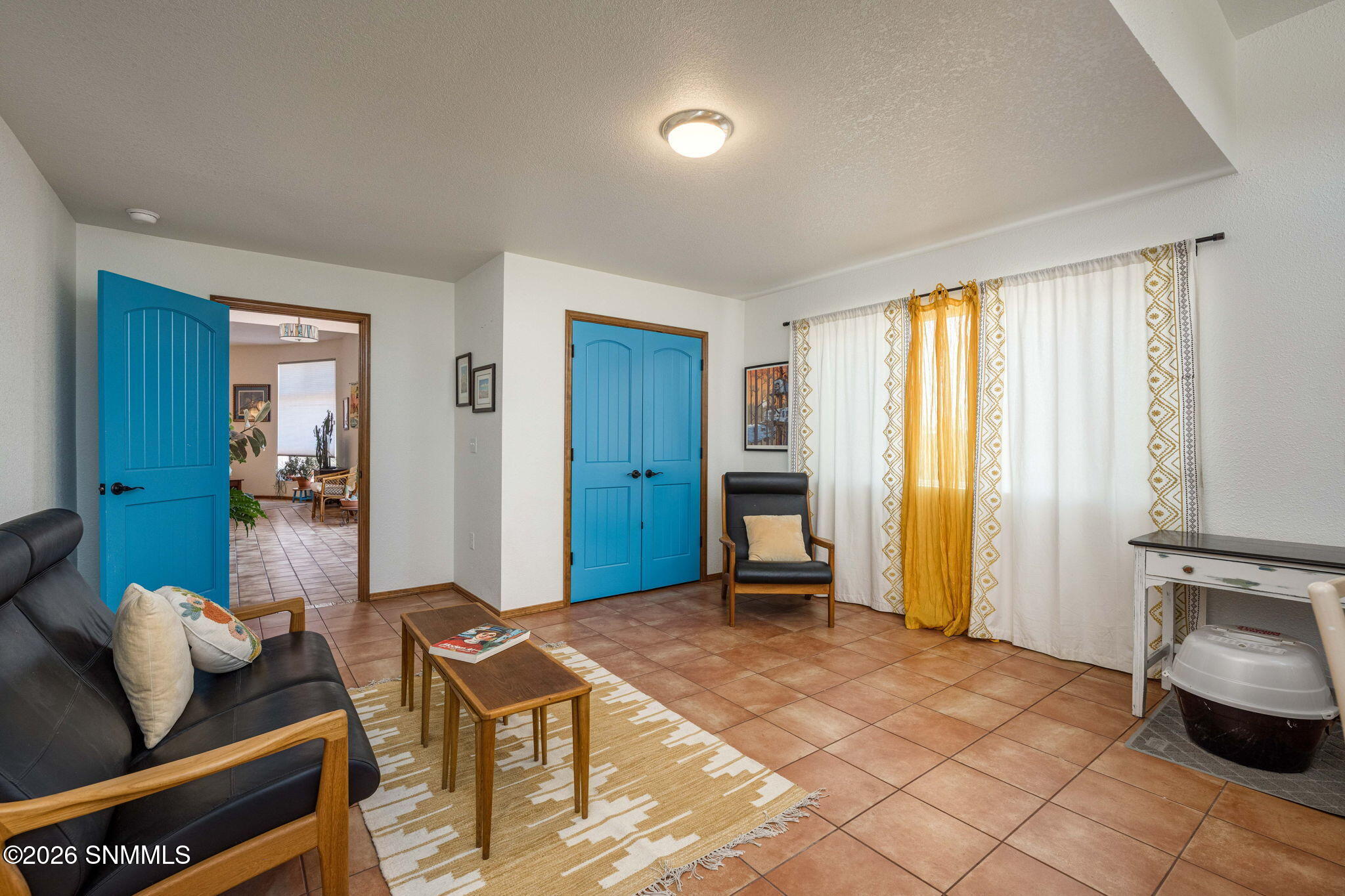 4155 Sotol Drive Property Photo 32