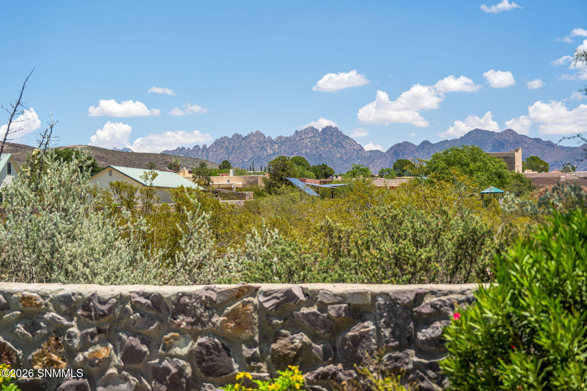 4155 Sotol Drive Property Photo 38
