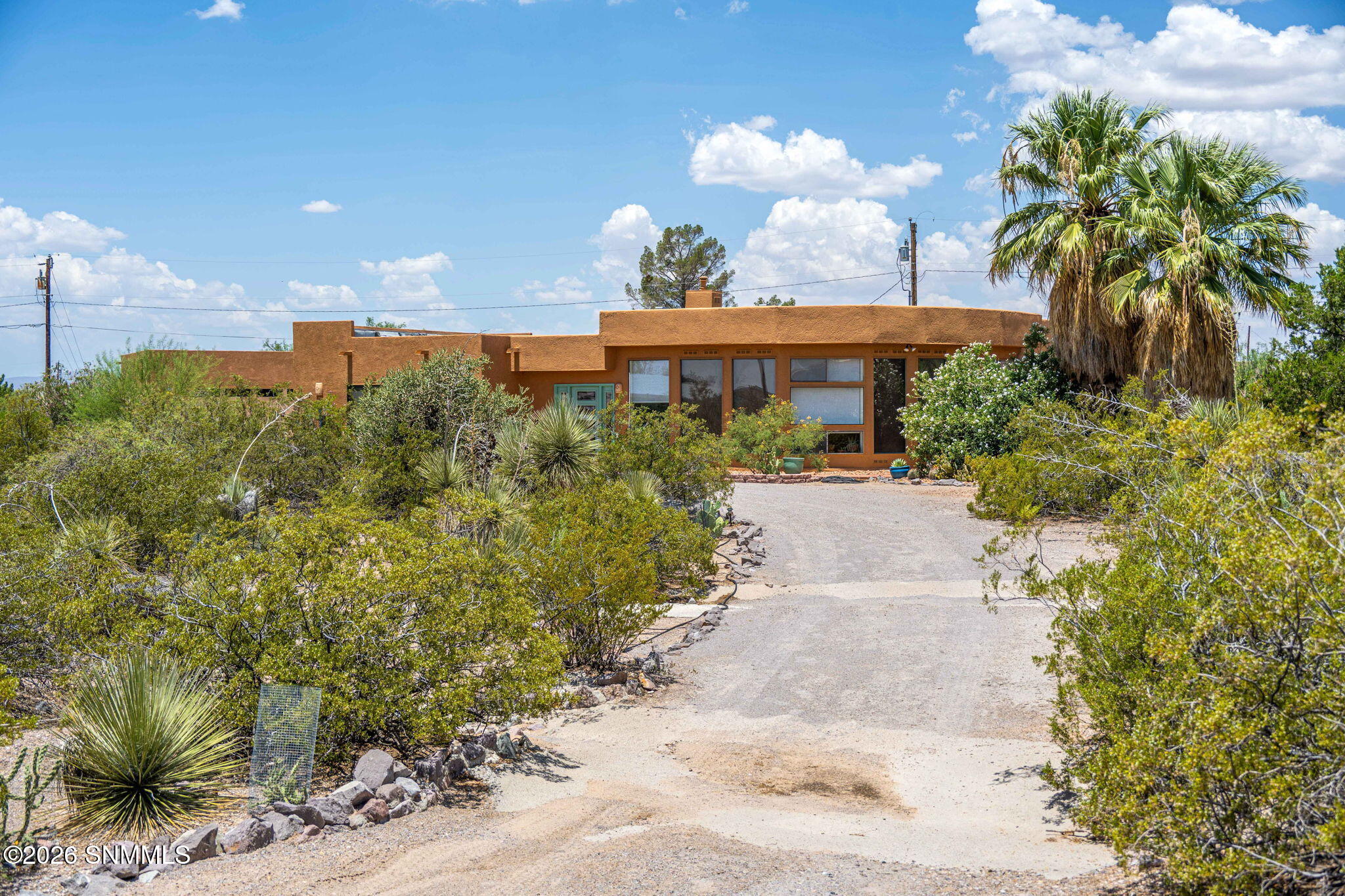 4155 Sotol Drive Property Photo 47