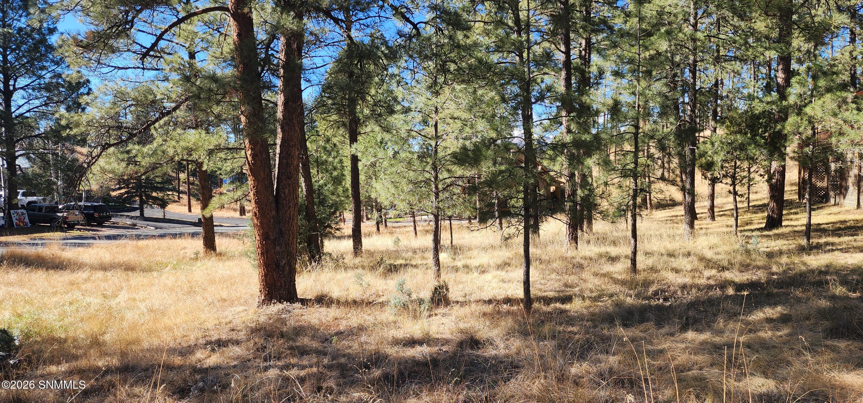 604 White Mountain Meadows Drive Property Photo 1