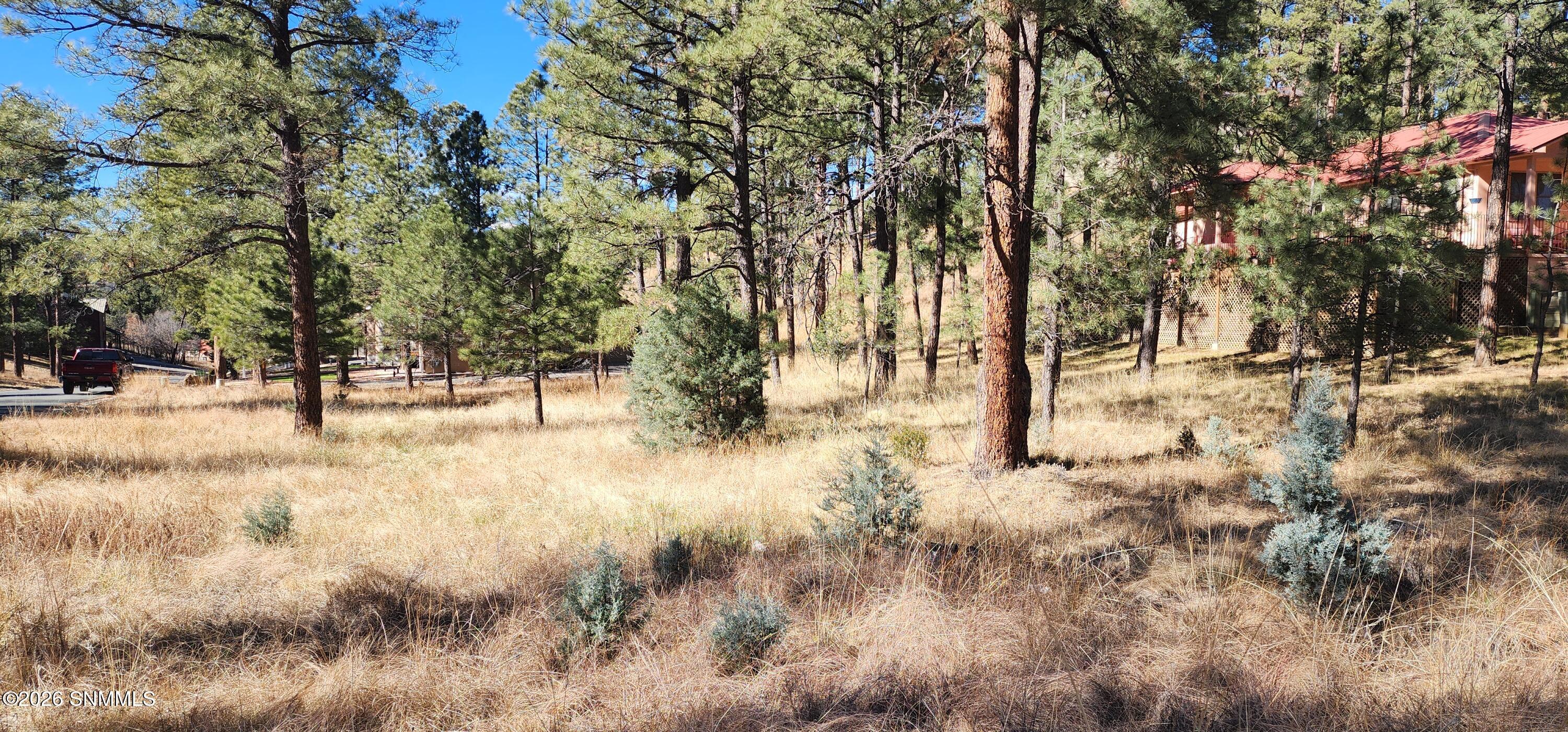 604 White Mountain Meadows Drive Property Photo 2