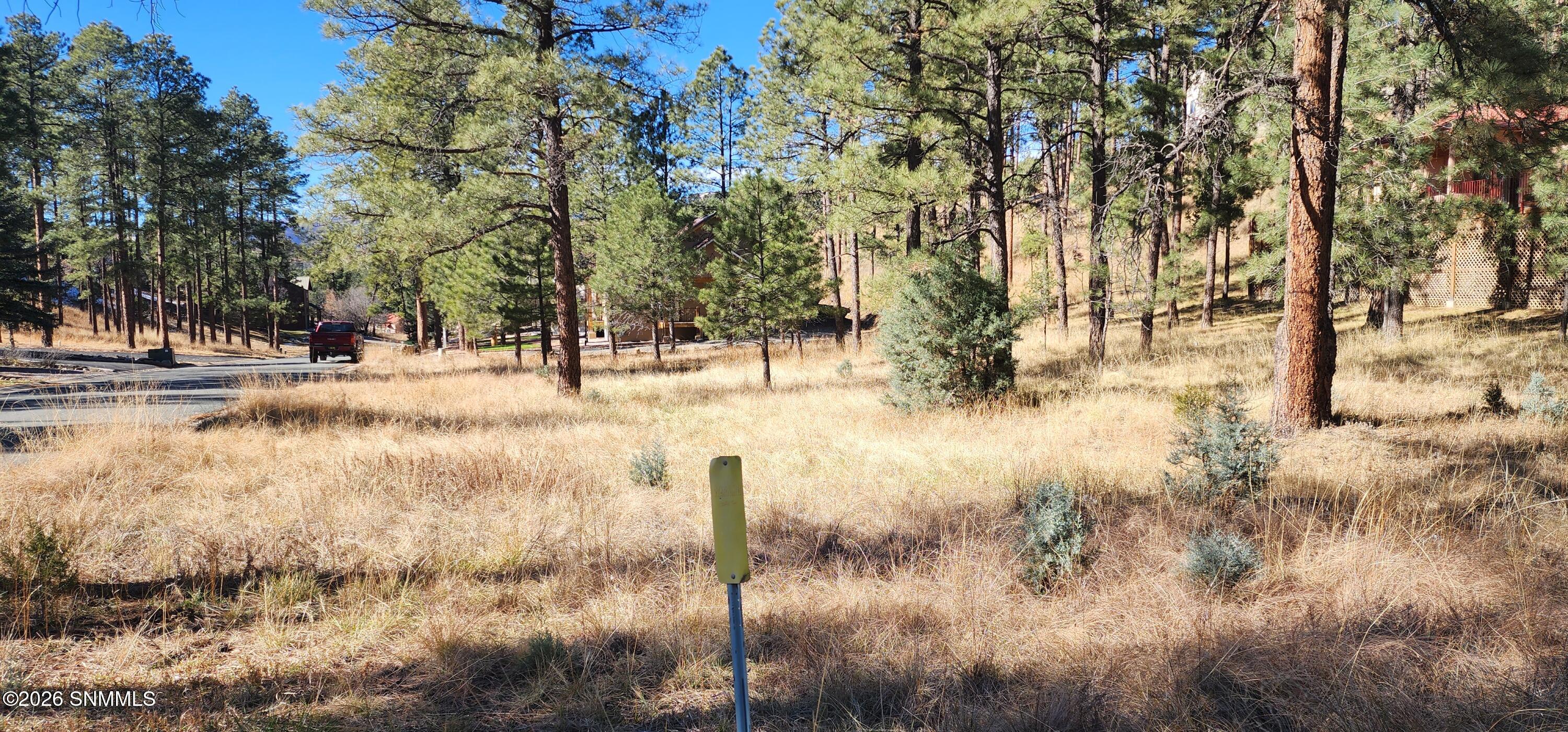 604 White Mountain Meadows Drive Property Photo 3