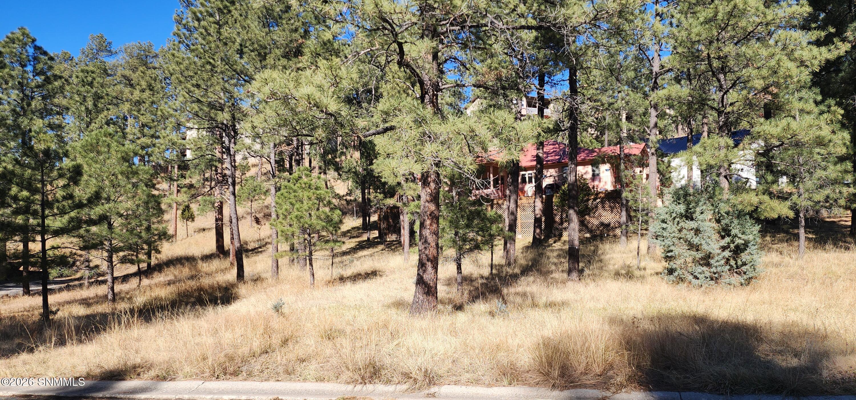 604 White Mountain Meadows Drive Property Photo 4