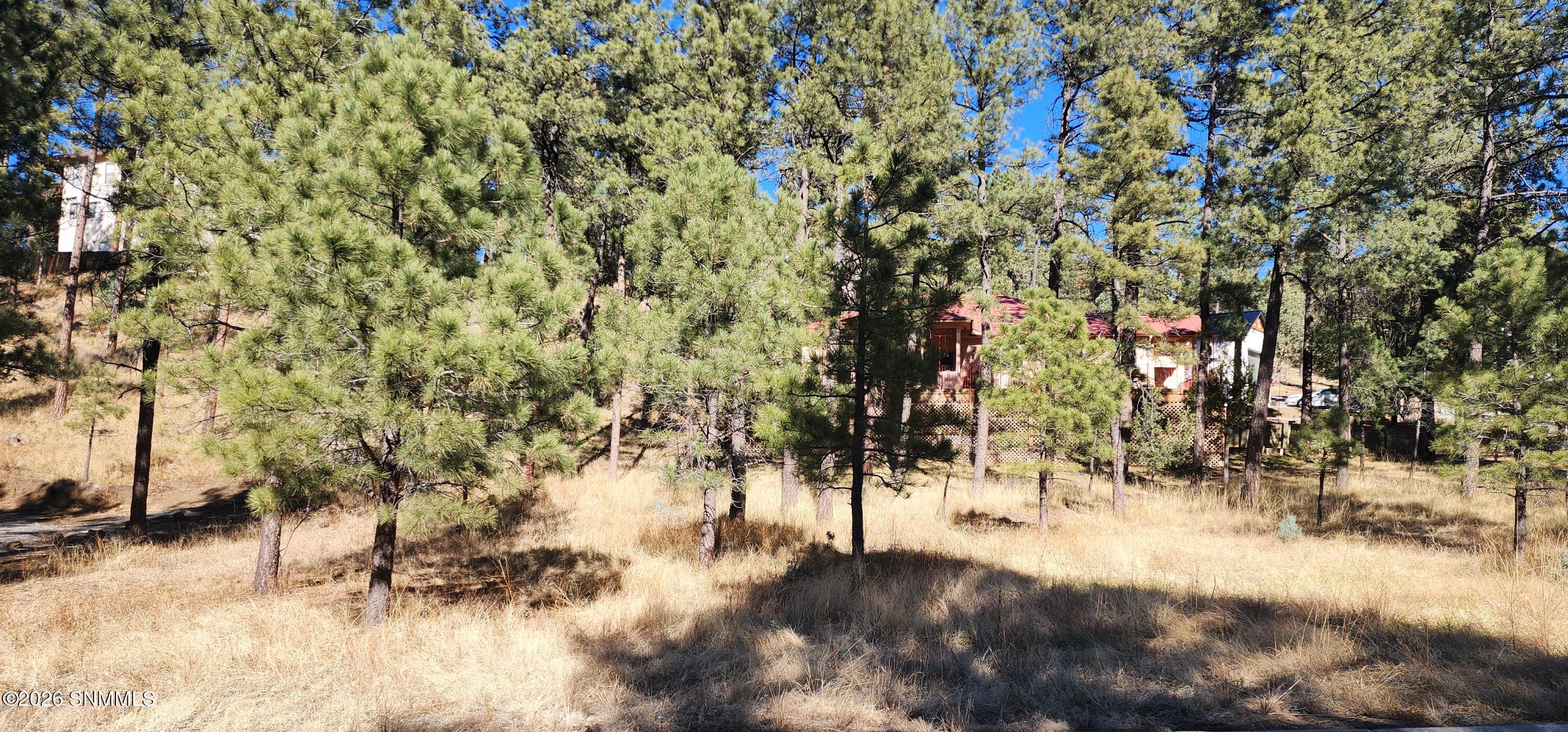 604 White Mountain Meadows Drive Property Photo 5