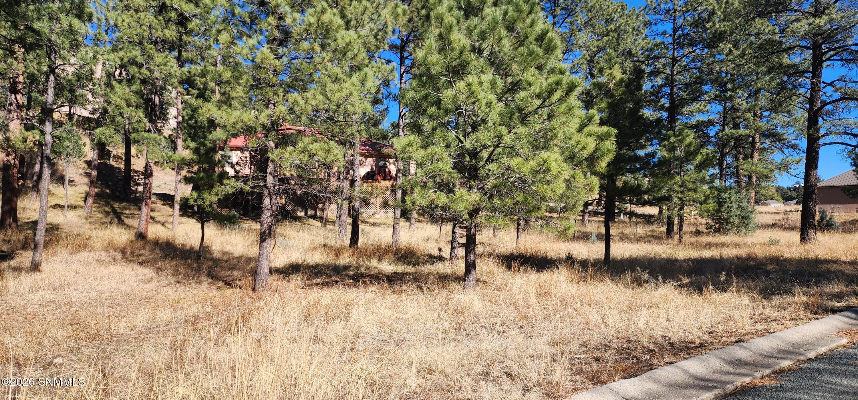 604 White Mountain Meadows Drive Property Photo 6