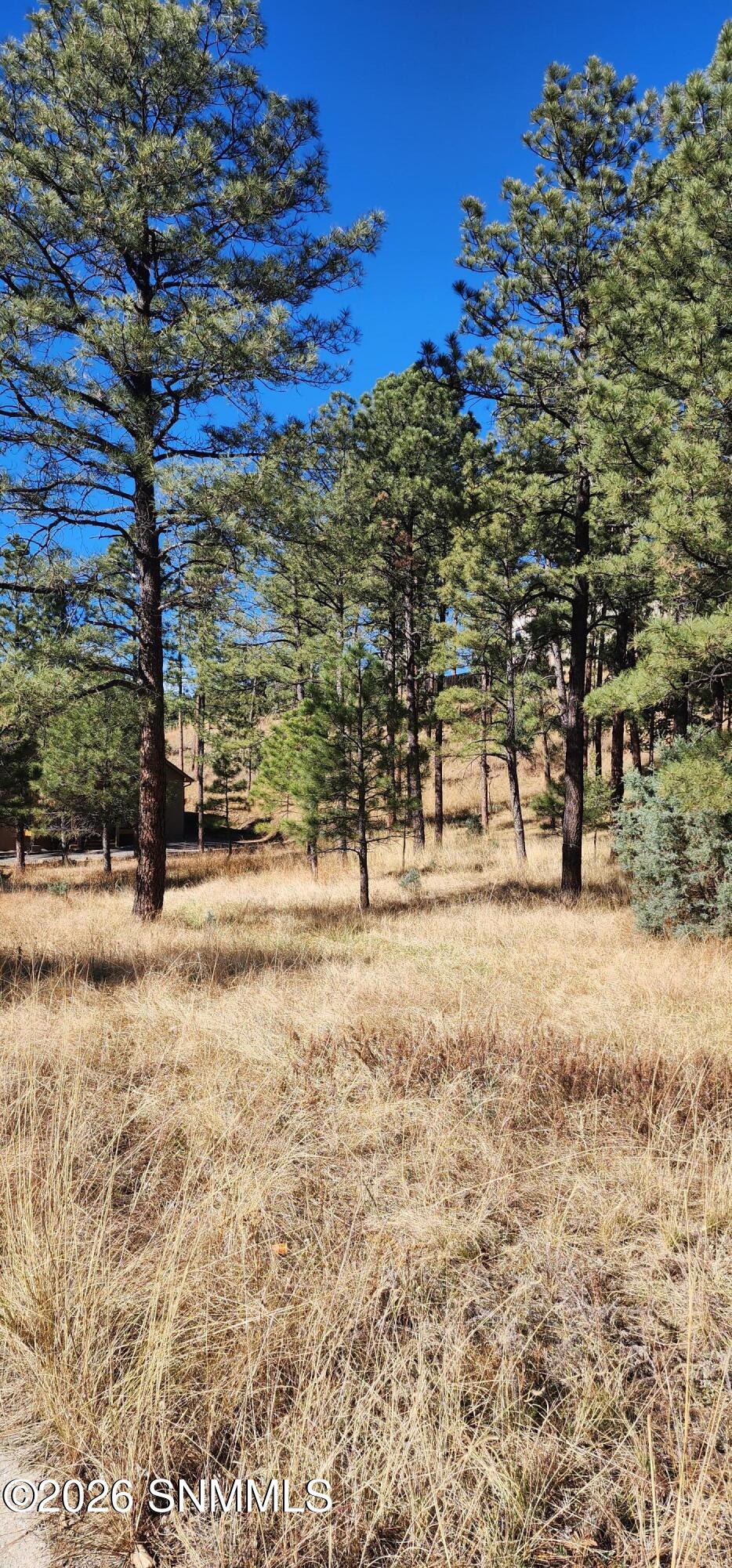 604 White Mountain Meadows Drive Property Photo 9