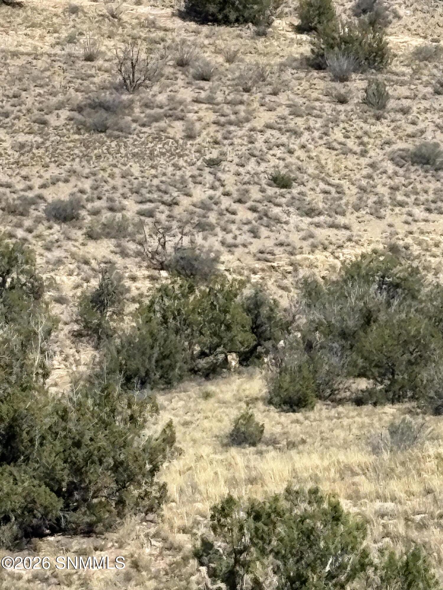 01 Wsmr P Route 7 Property Photo 17