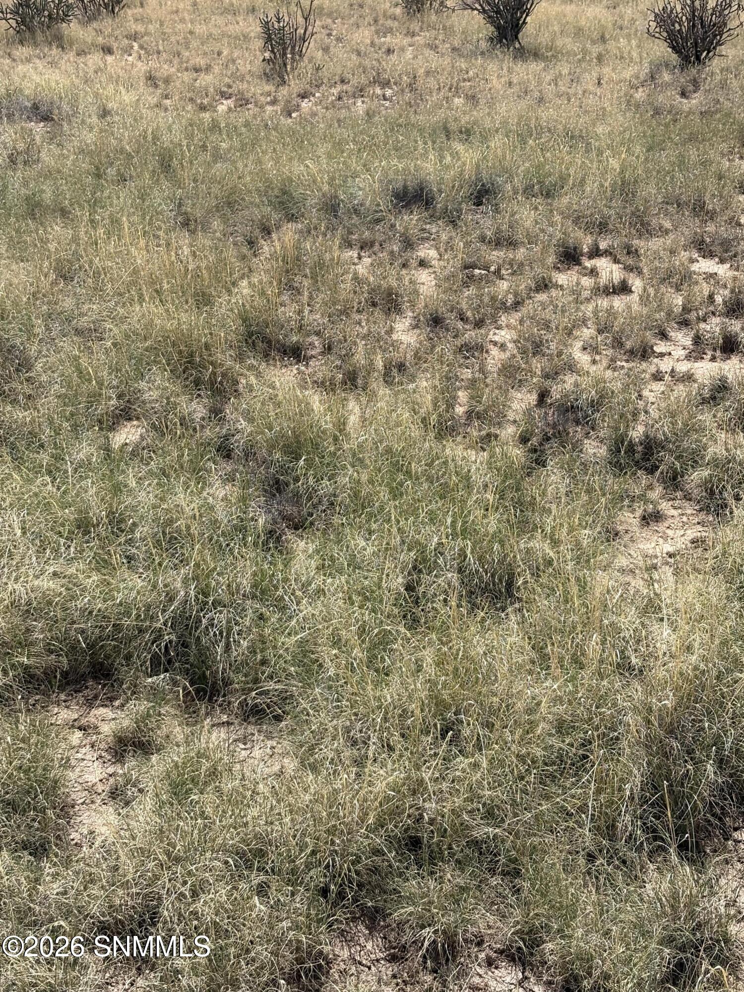 01 Wsmr P Route 7 Property Photo 29