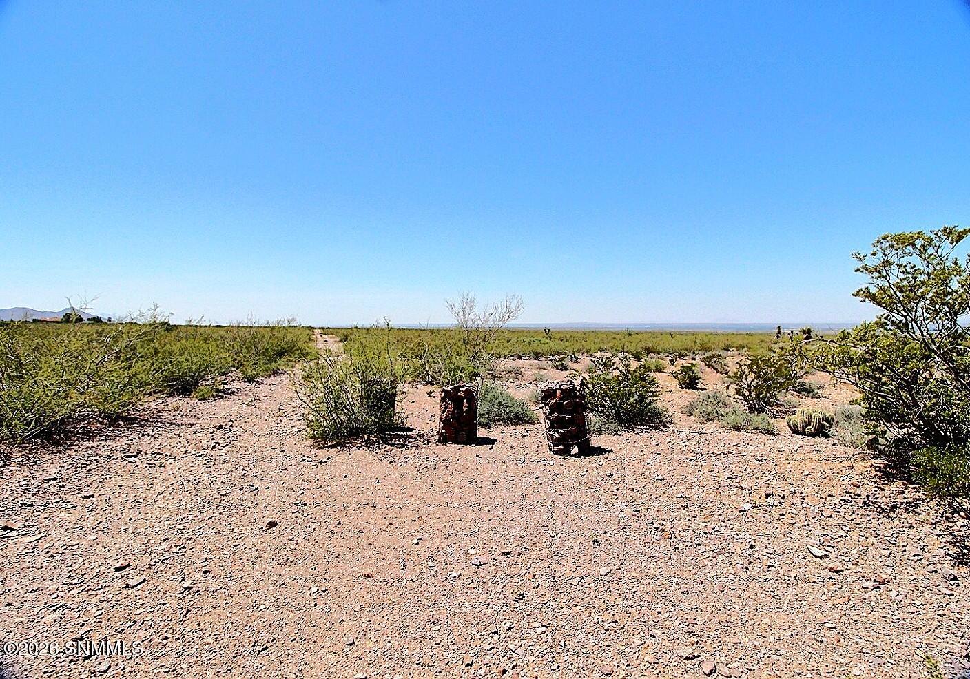 Tbd Alamo Mine Trail Property Photo 3