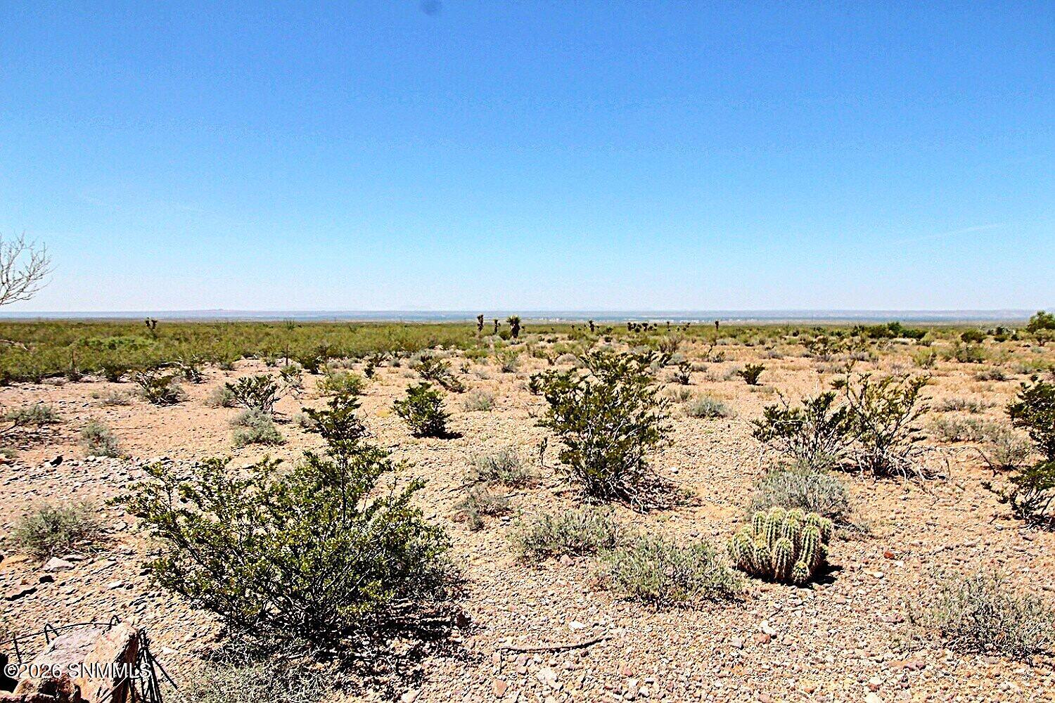Tbd Alamo Mine Trail Property Photo 6