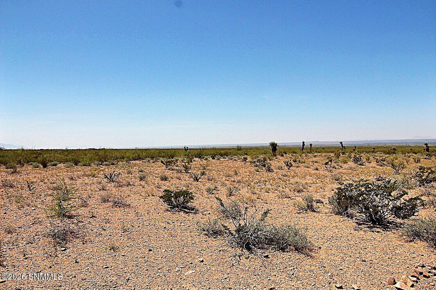 Tbd Alamo Mine Trail Property Photo 7