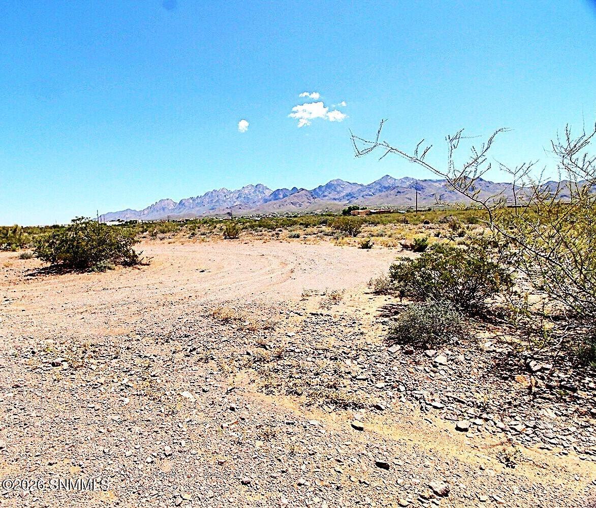 Tbd Alamo Mine Trail Property Photo 10