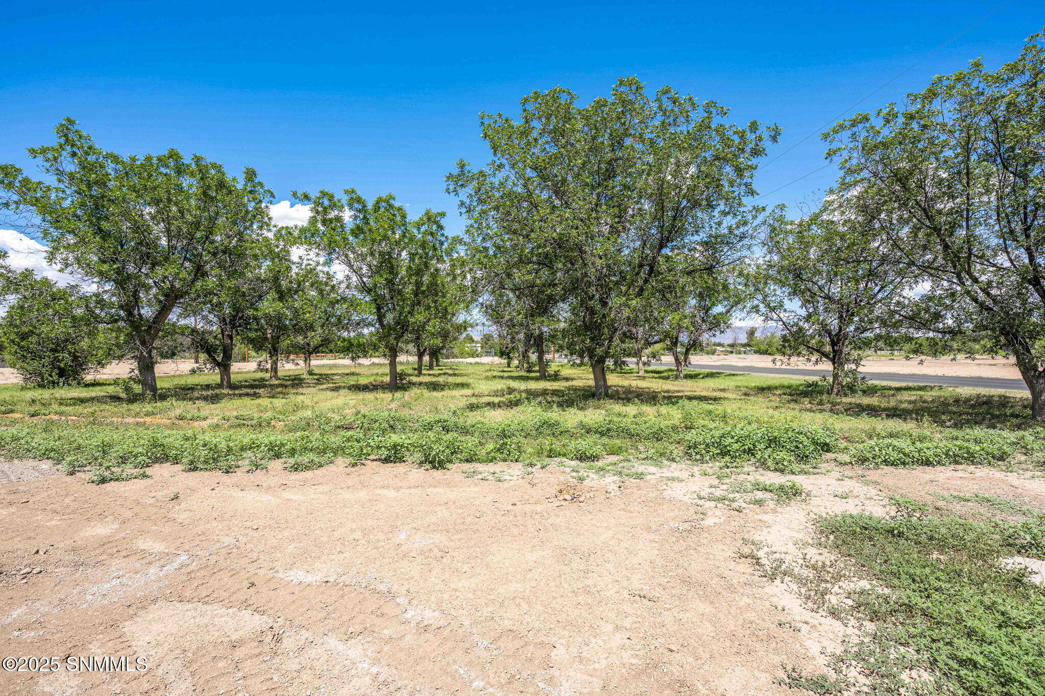 1032 Carver Road Property Photo 57