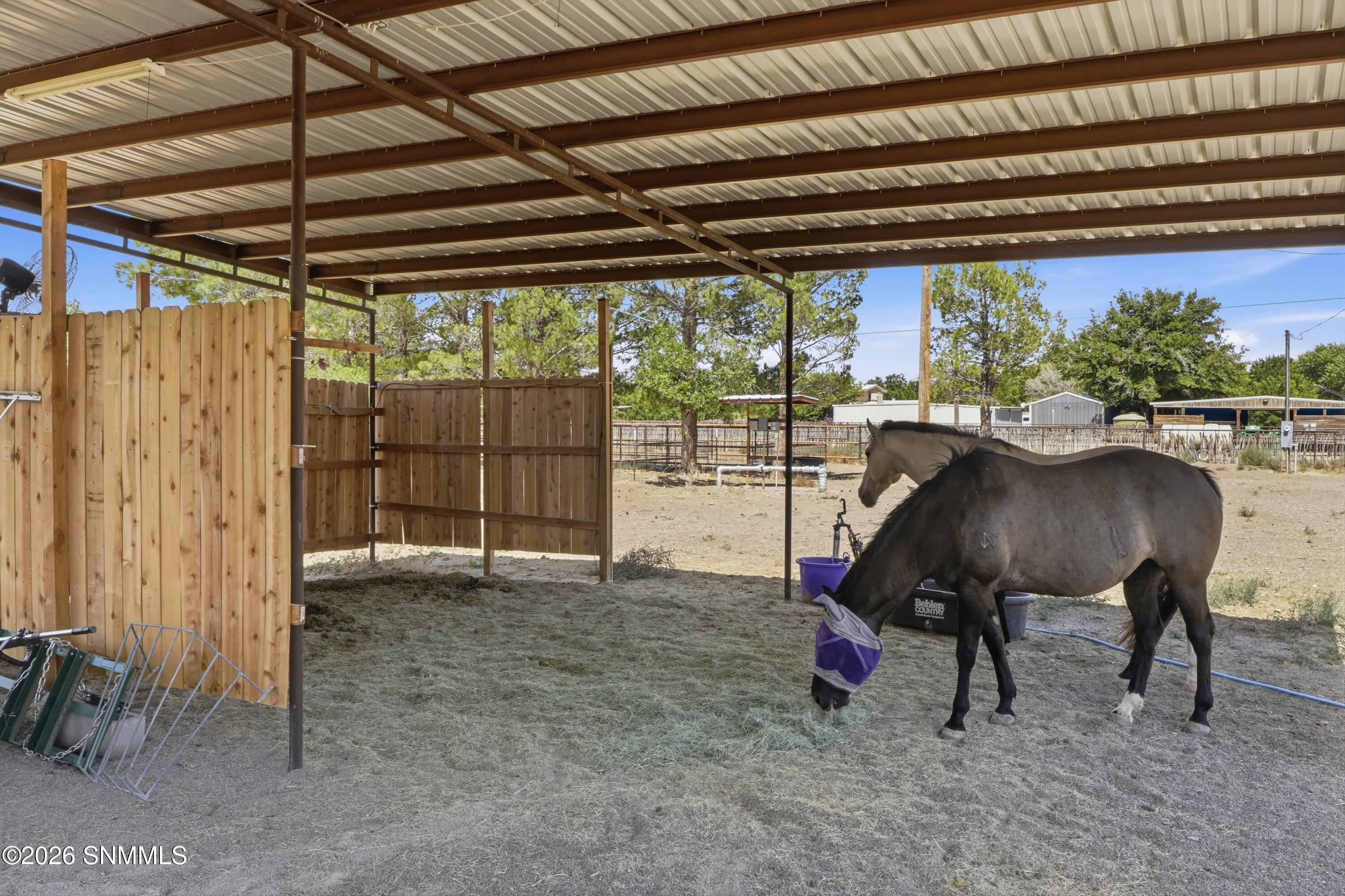 1146 Eagle Wings Road Property Photo 14