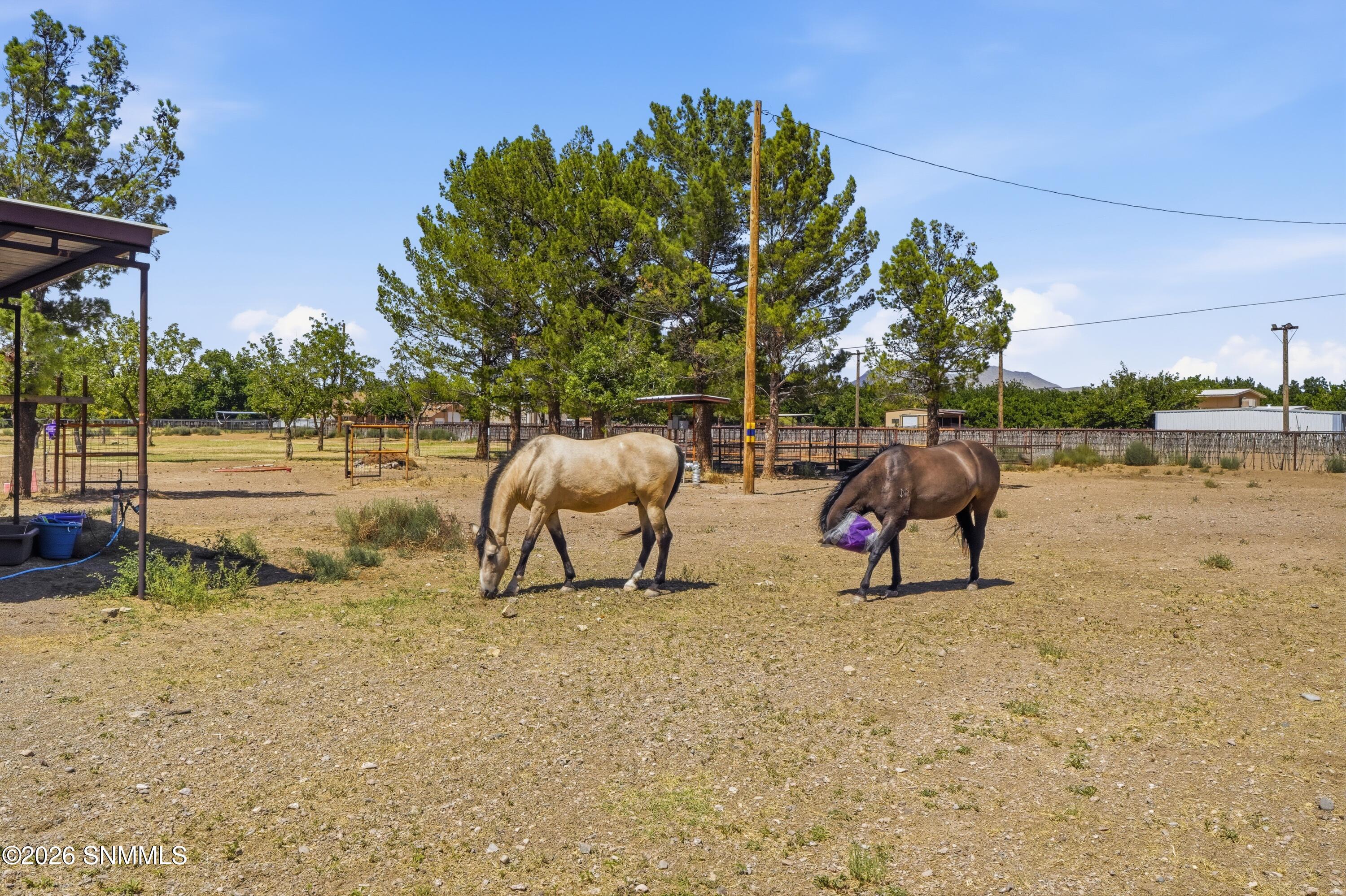 1146 Eagle Wings Road Property Photo 19