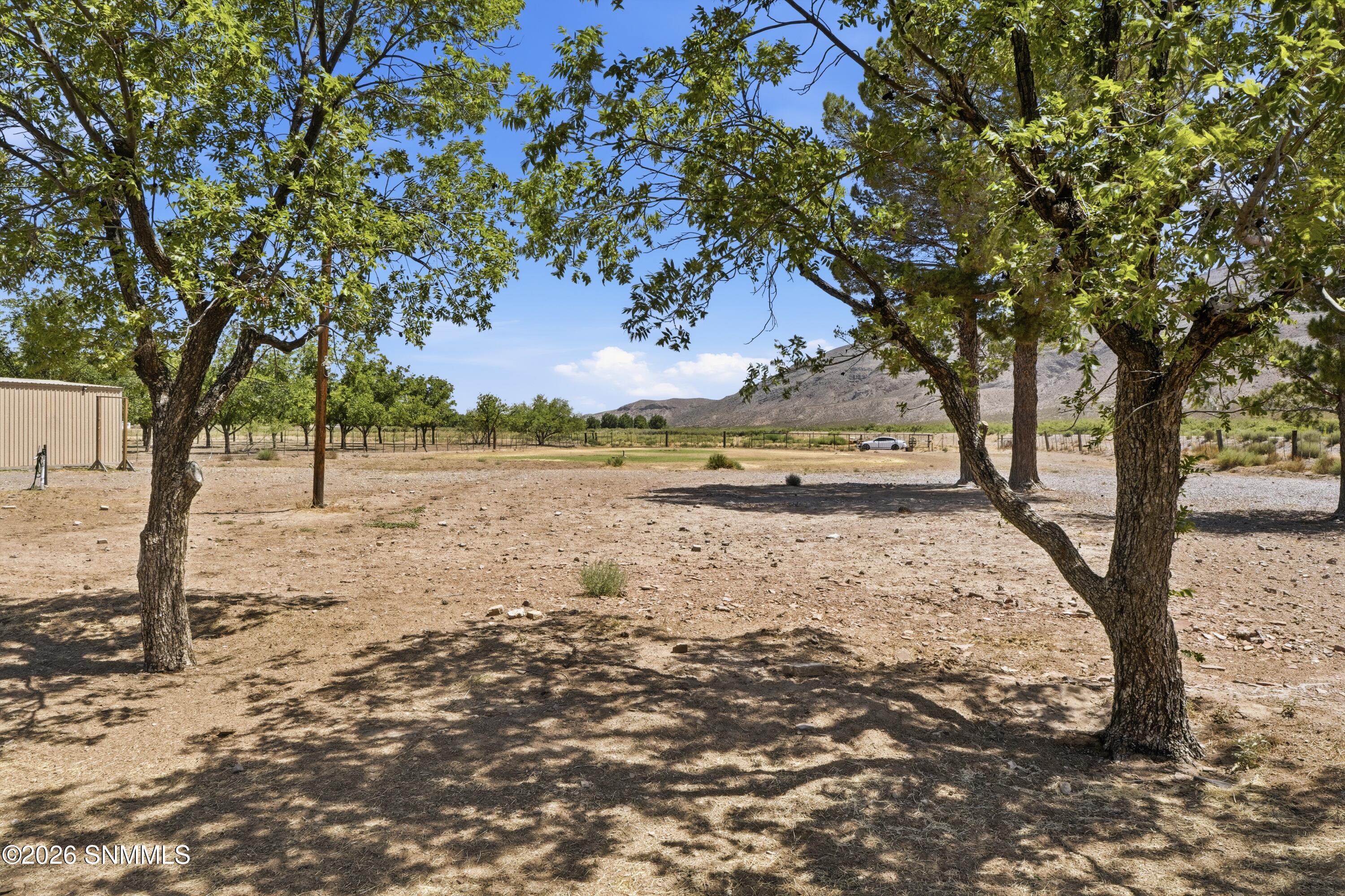 1146 Eagle Wings Road Property Photo 32