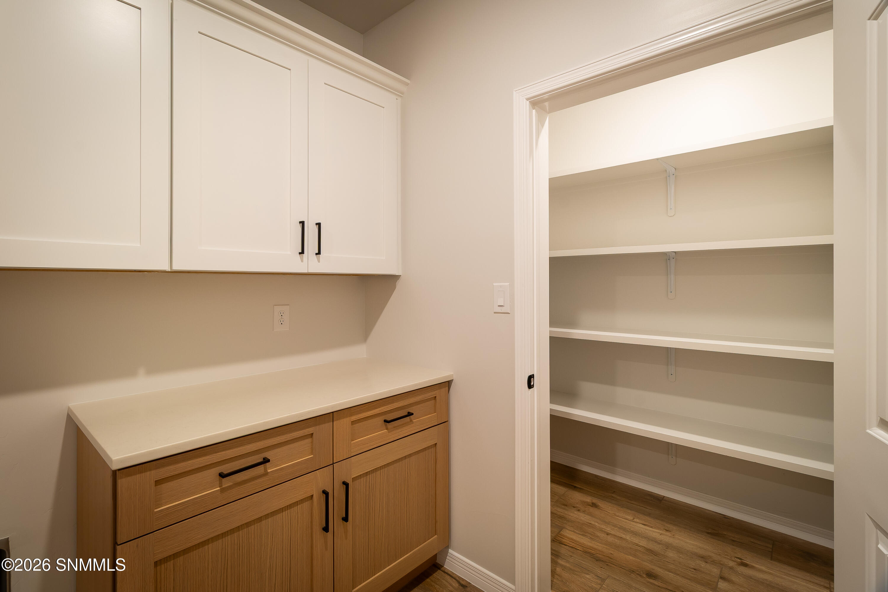 788 Basha Arc Property Photo 58