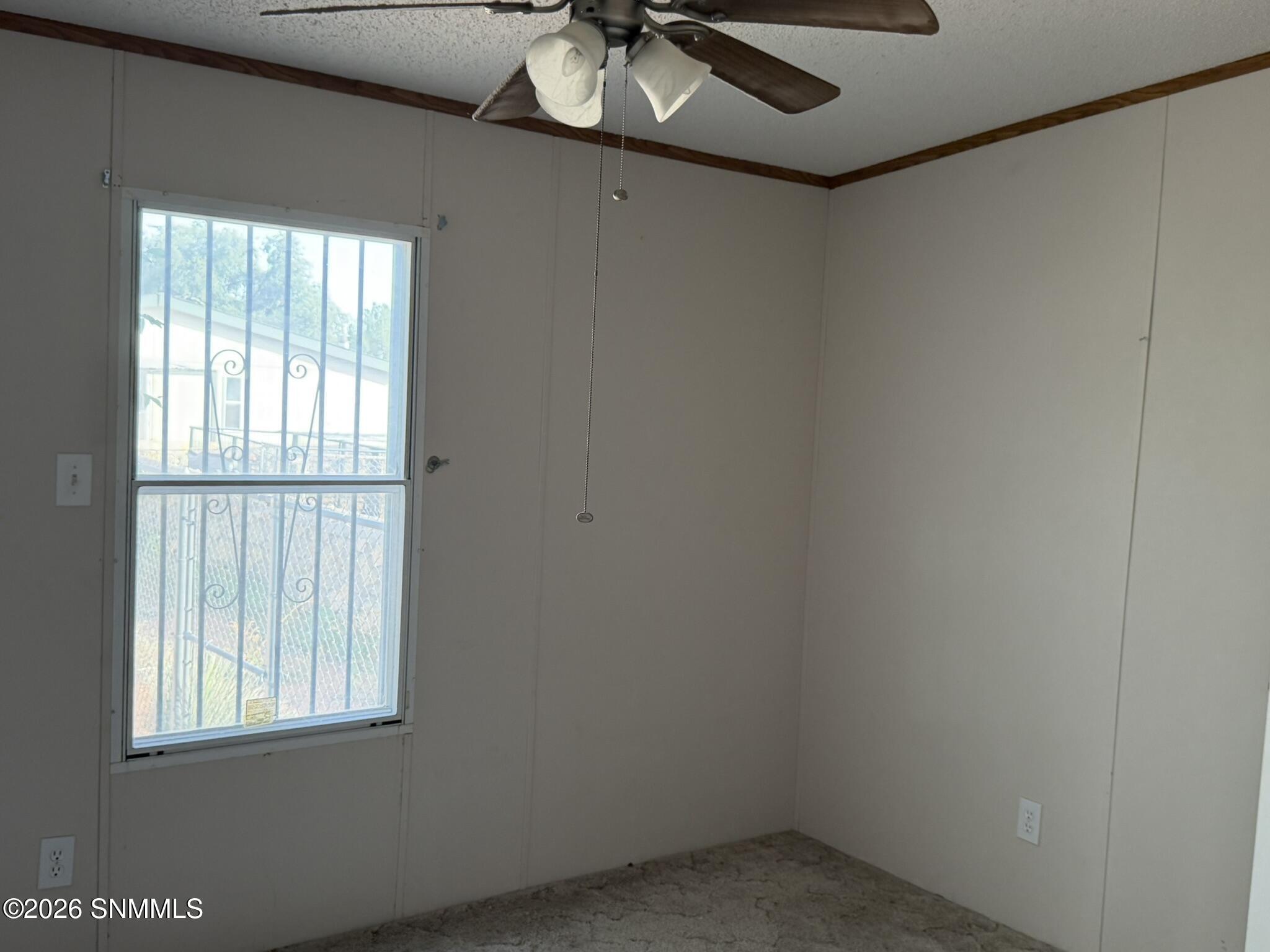 4146 Calle Libertad Property Photo 8