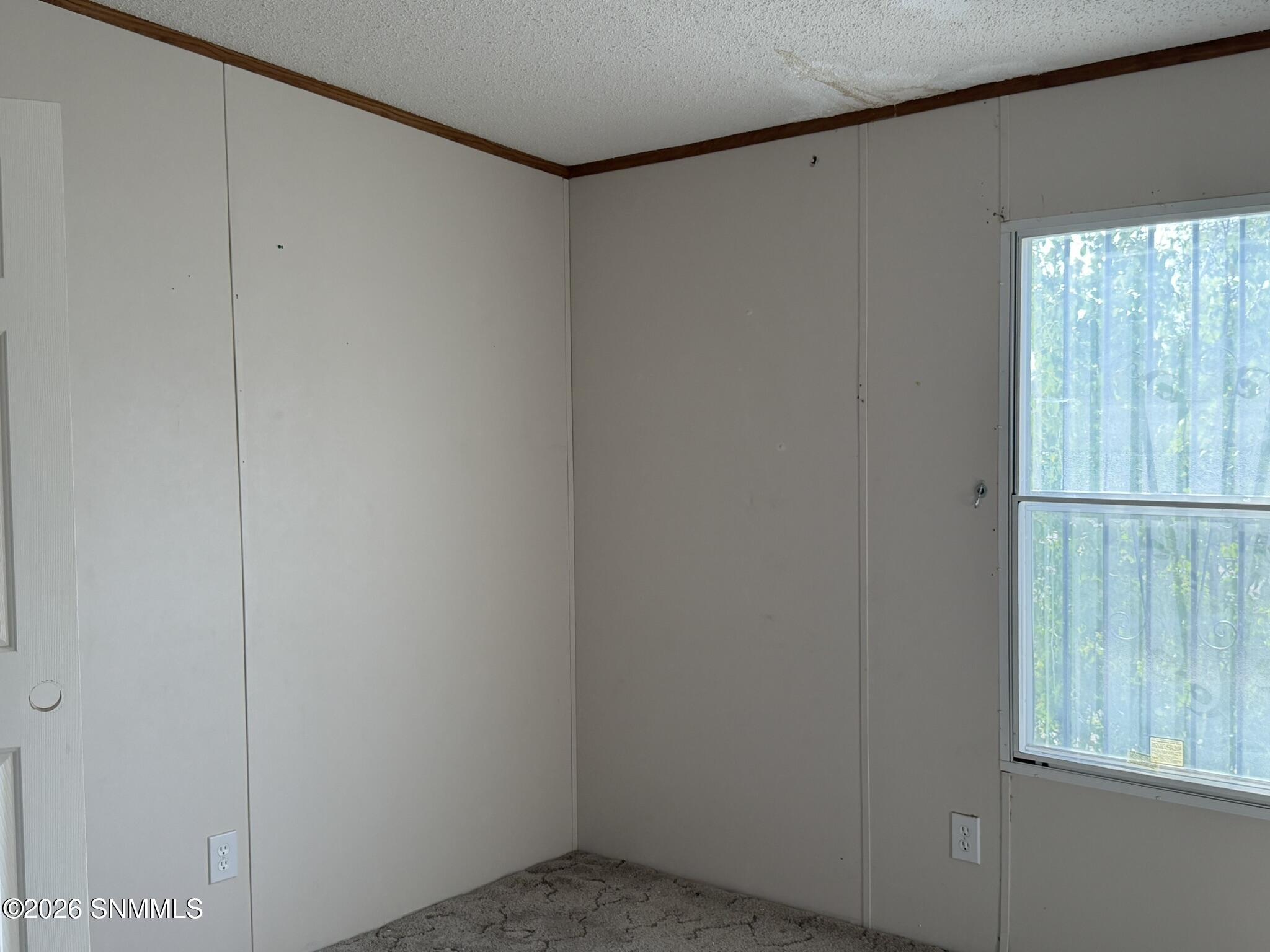 4146 Calle Libertad Property Photo 9