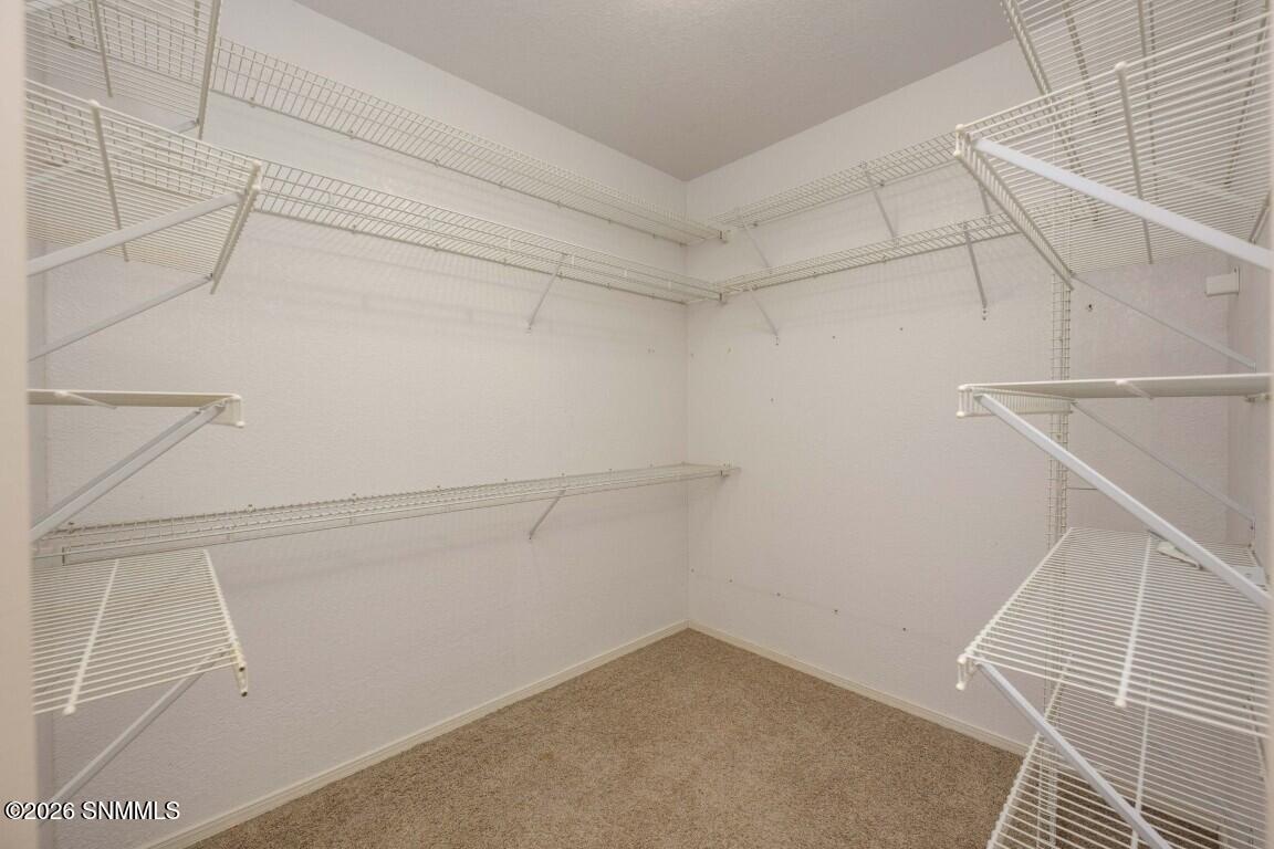6704 Camino Blanco Property Photo 41