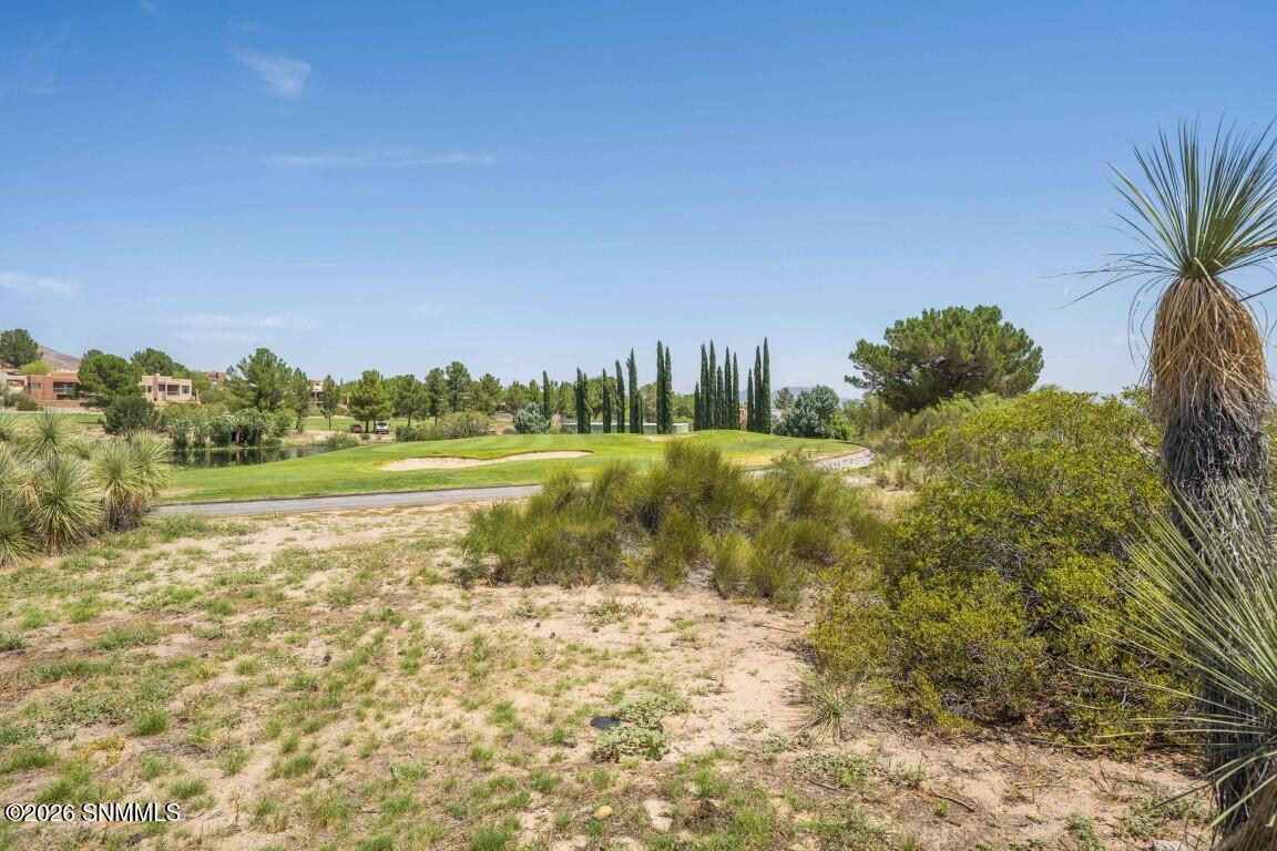 6704 Camino Blanco Property Photo 62