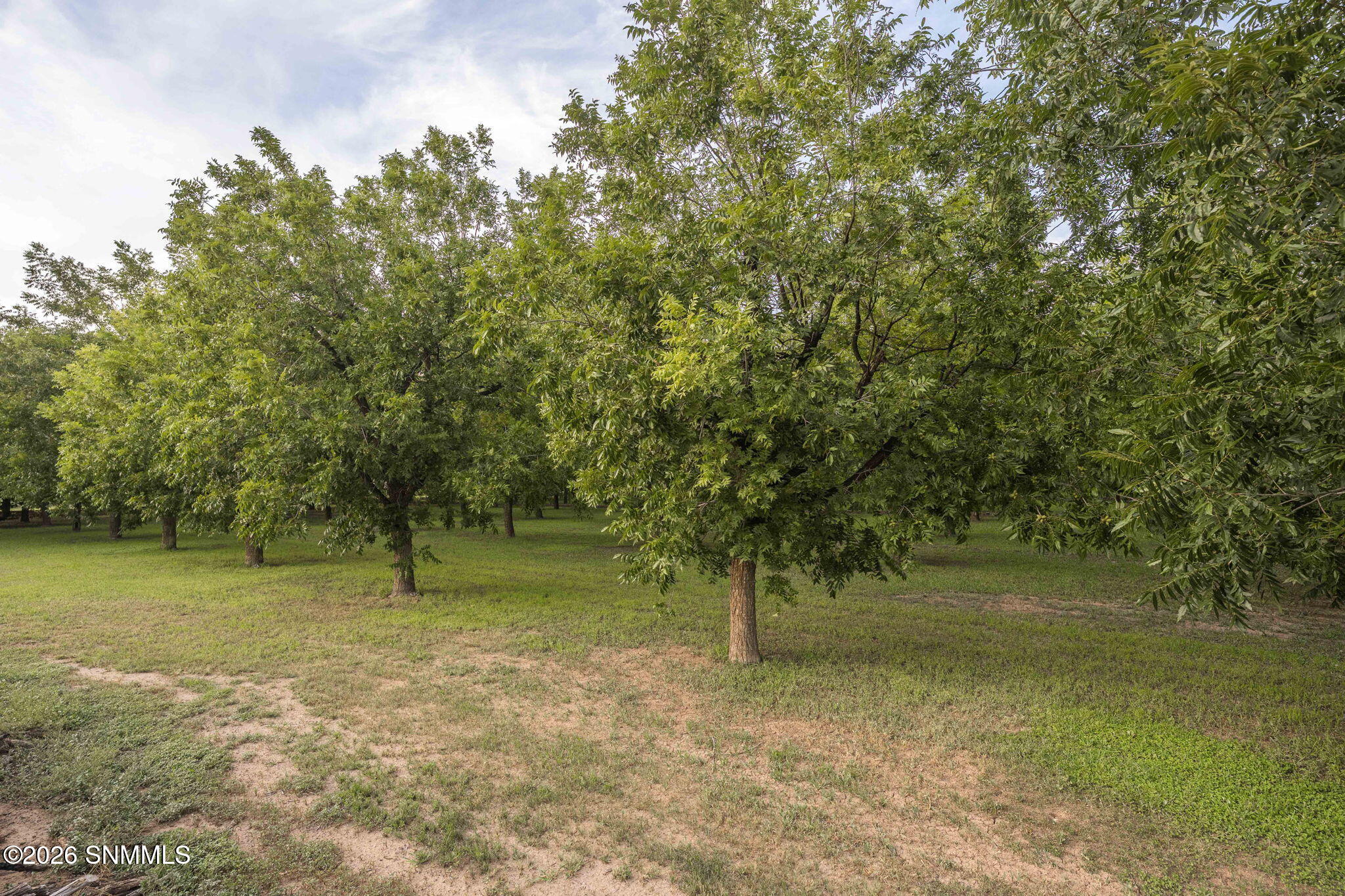 820 Engler Road Property Photo 66
