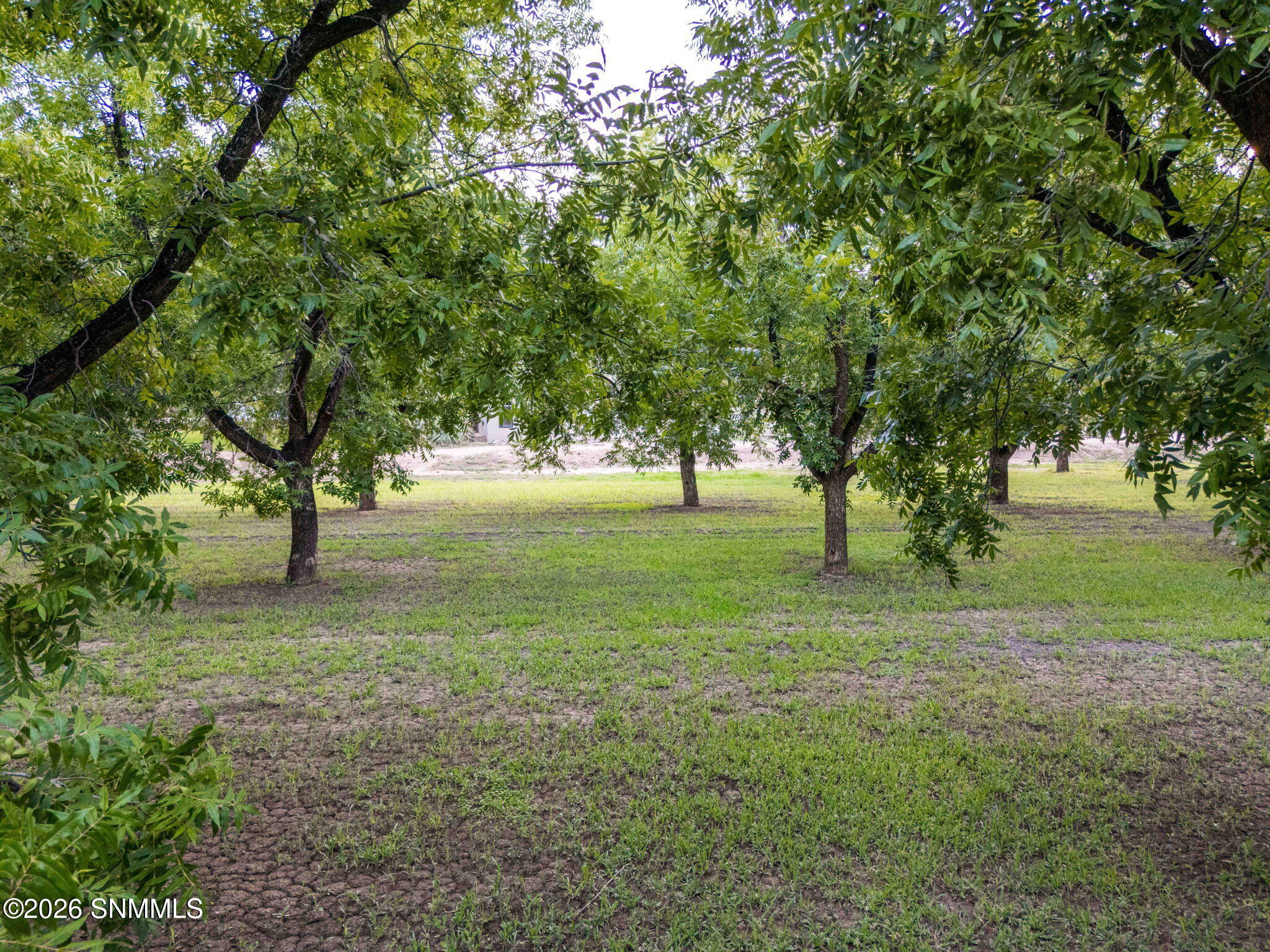820 Engler Road Property Photo 84