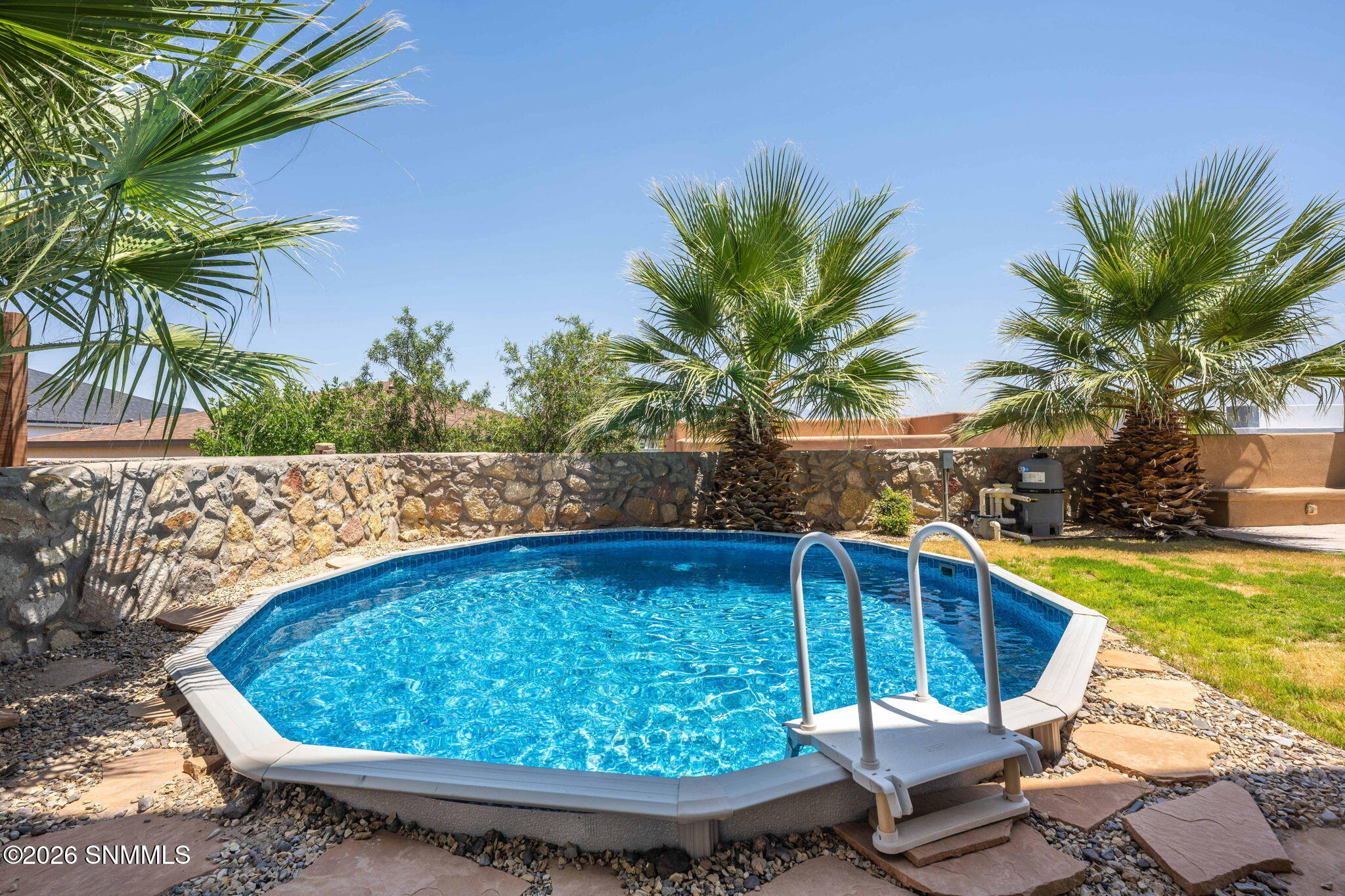 3910 Agua De Vida Drive Property Photo 46