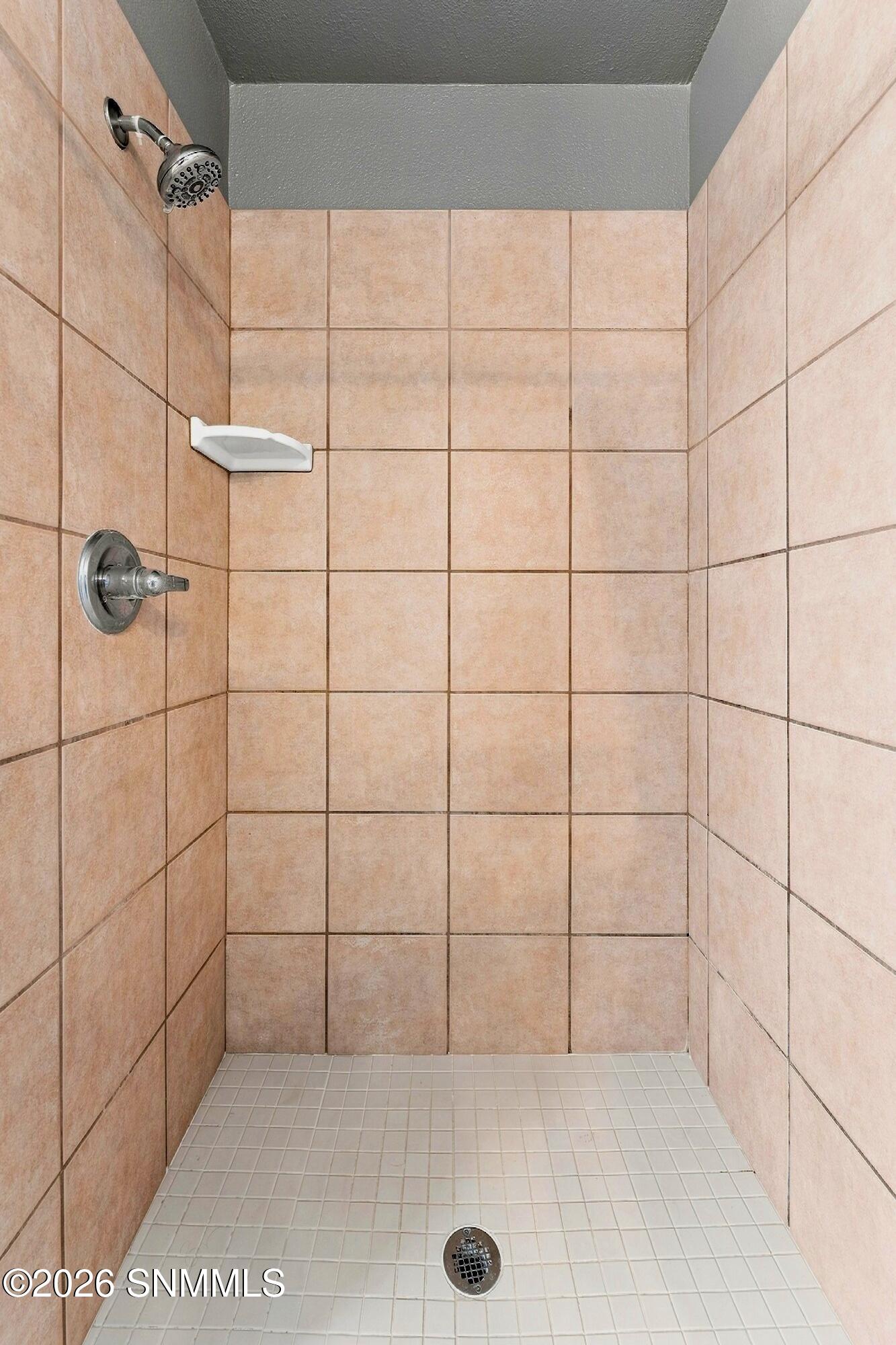 1511 Pradera Dorada Arc Property Photo 17