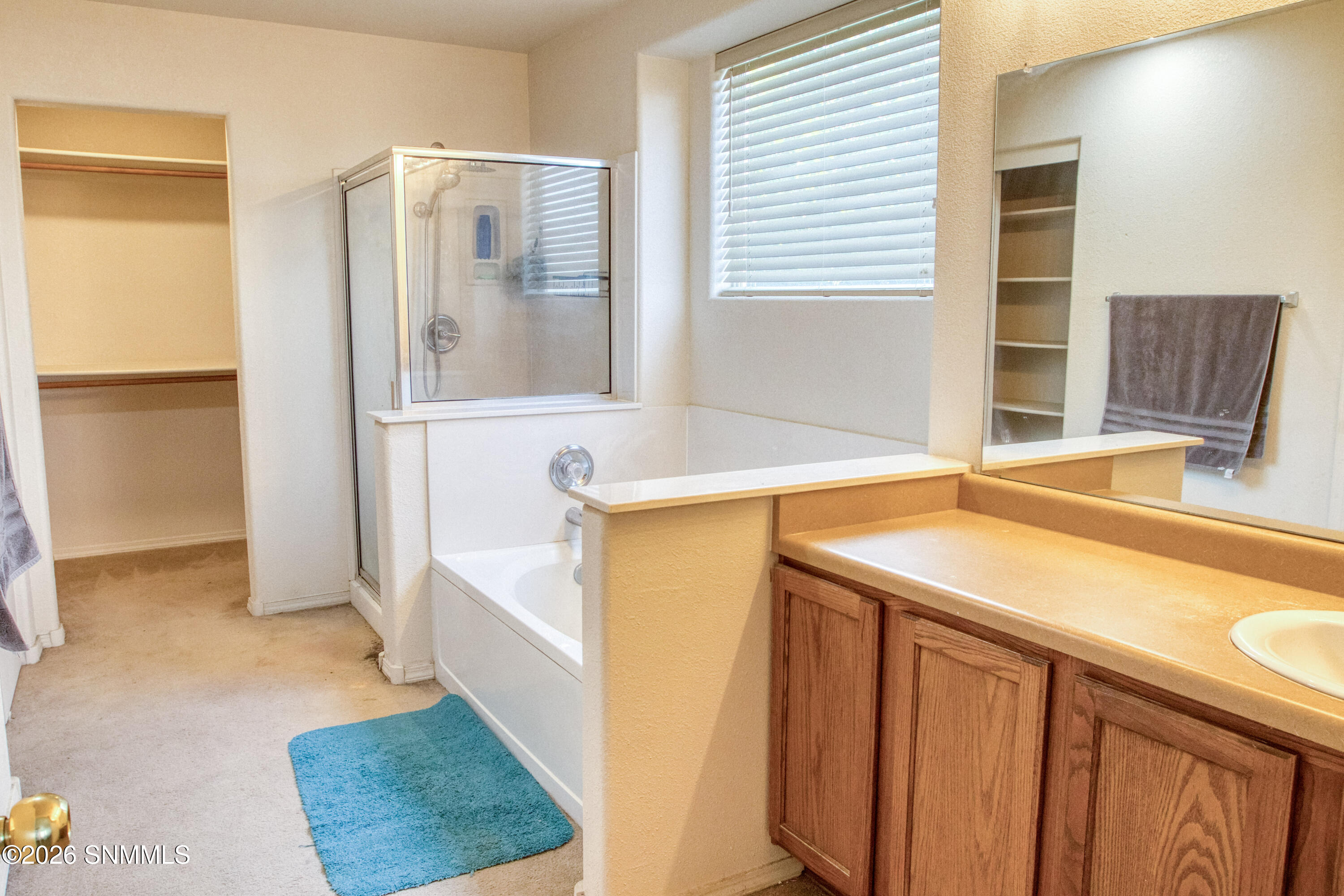 5878 Moon View Drive Property Photo 19