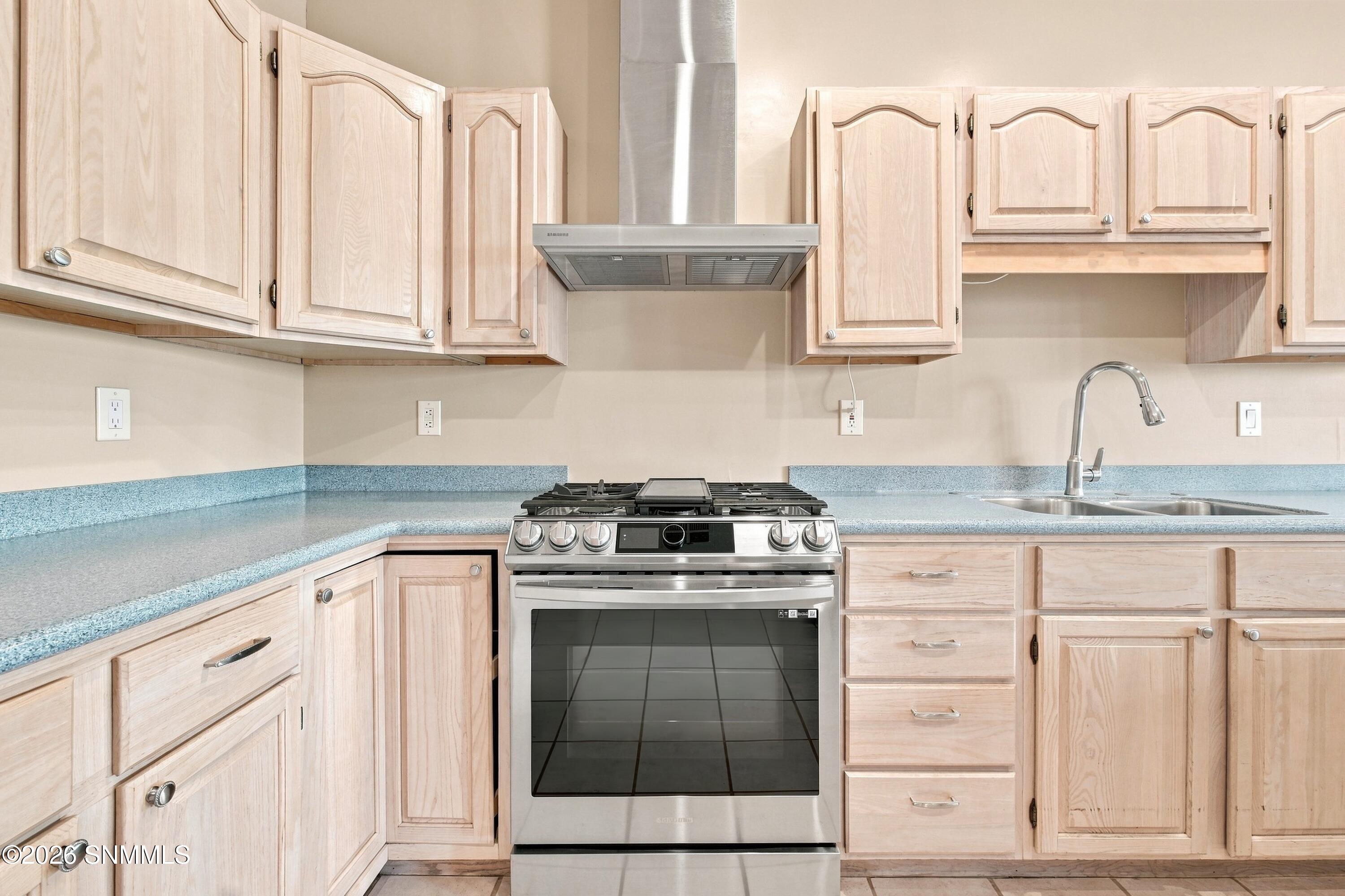3336 Squaw Mountain Drive Property Photo 14