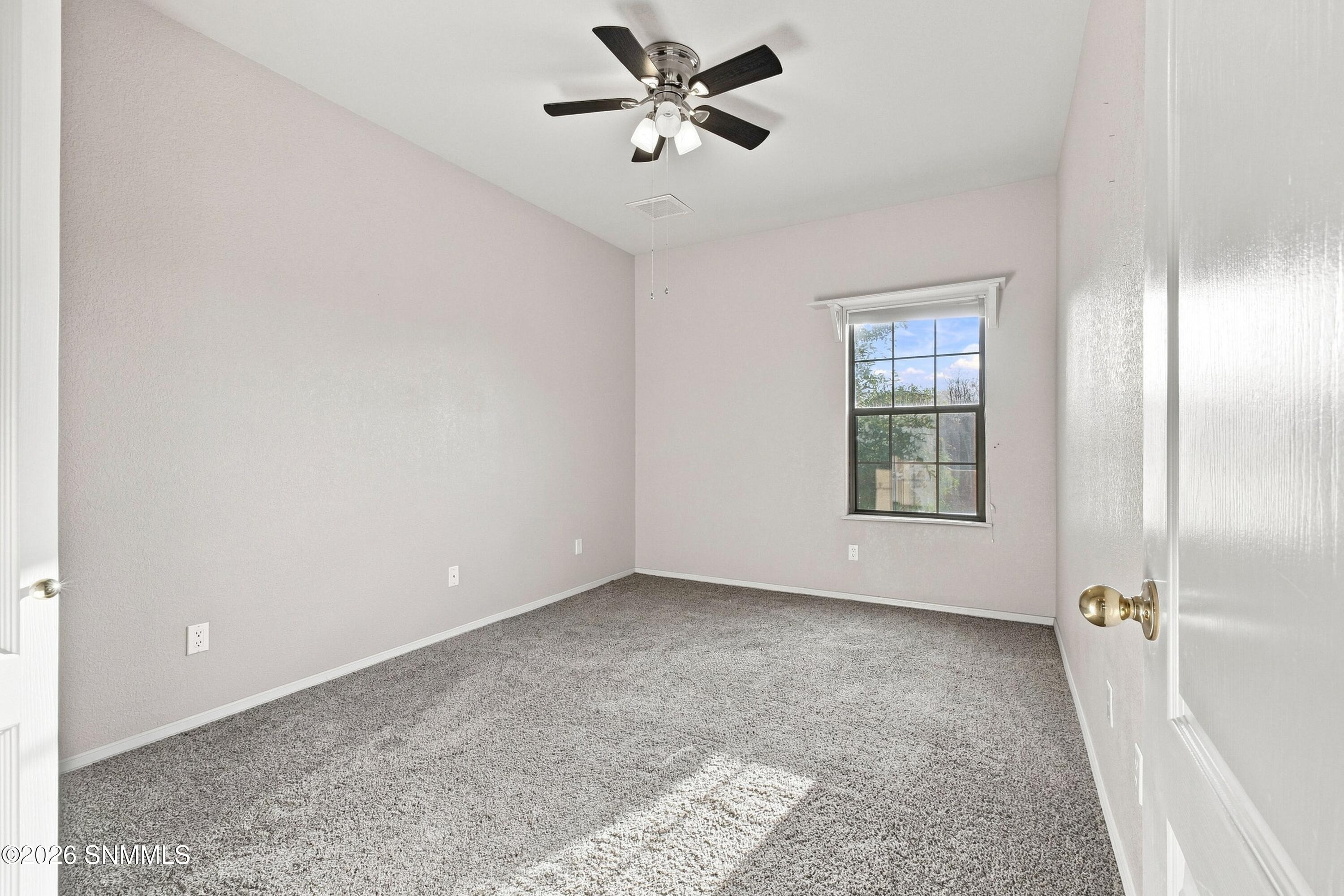 3336 Squaw Mountain Drive Property Photo 28