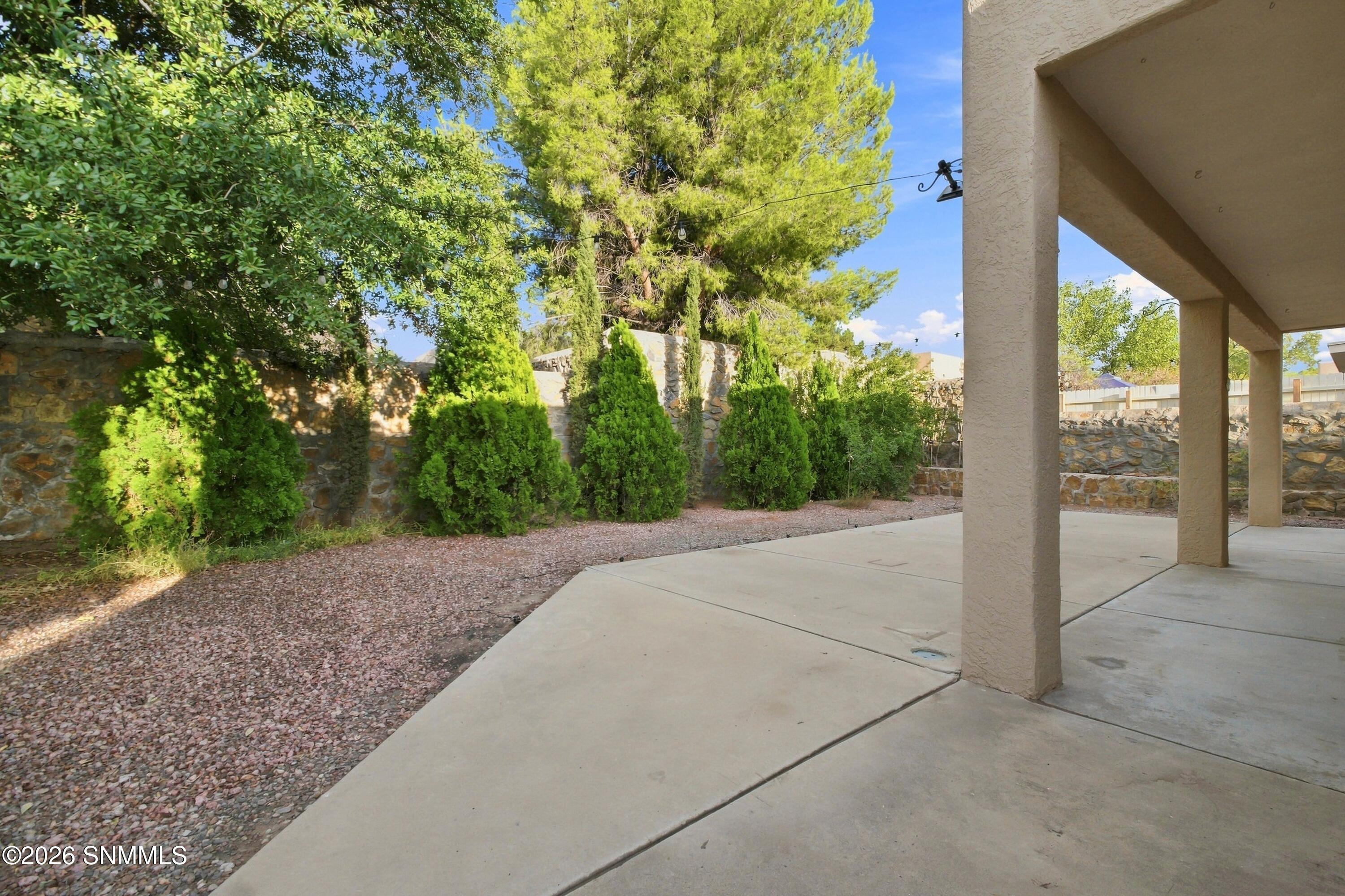 3336 Squaw Mountain Drive Property Photo 37