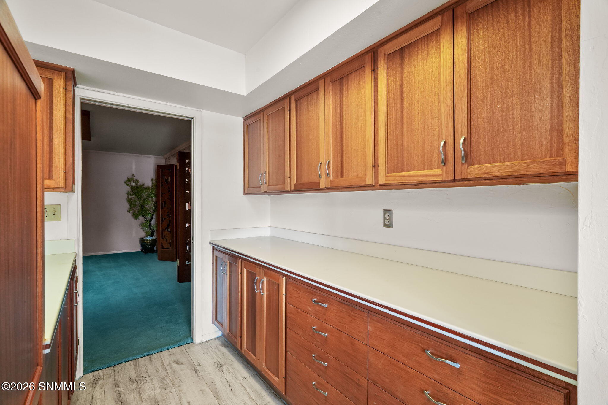 2035 Turrentine Drive Property Photo 21