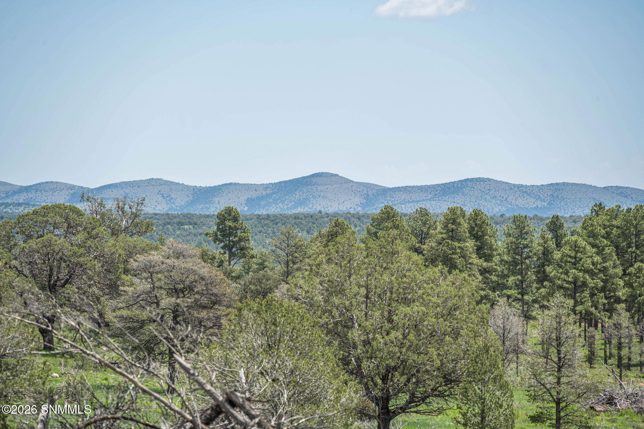 1604 Nm Highway 24 Property Photo 15