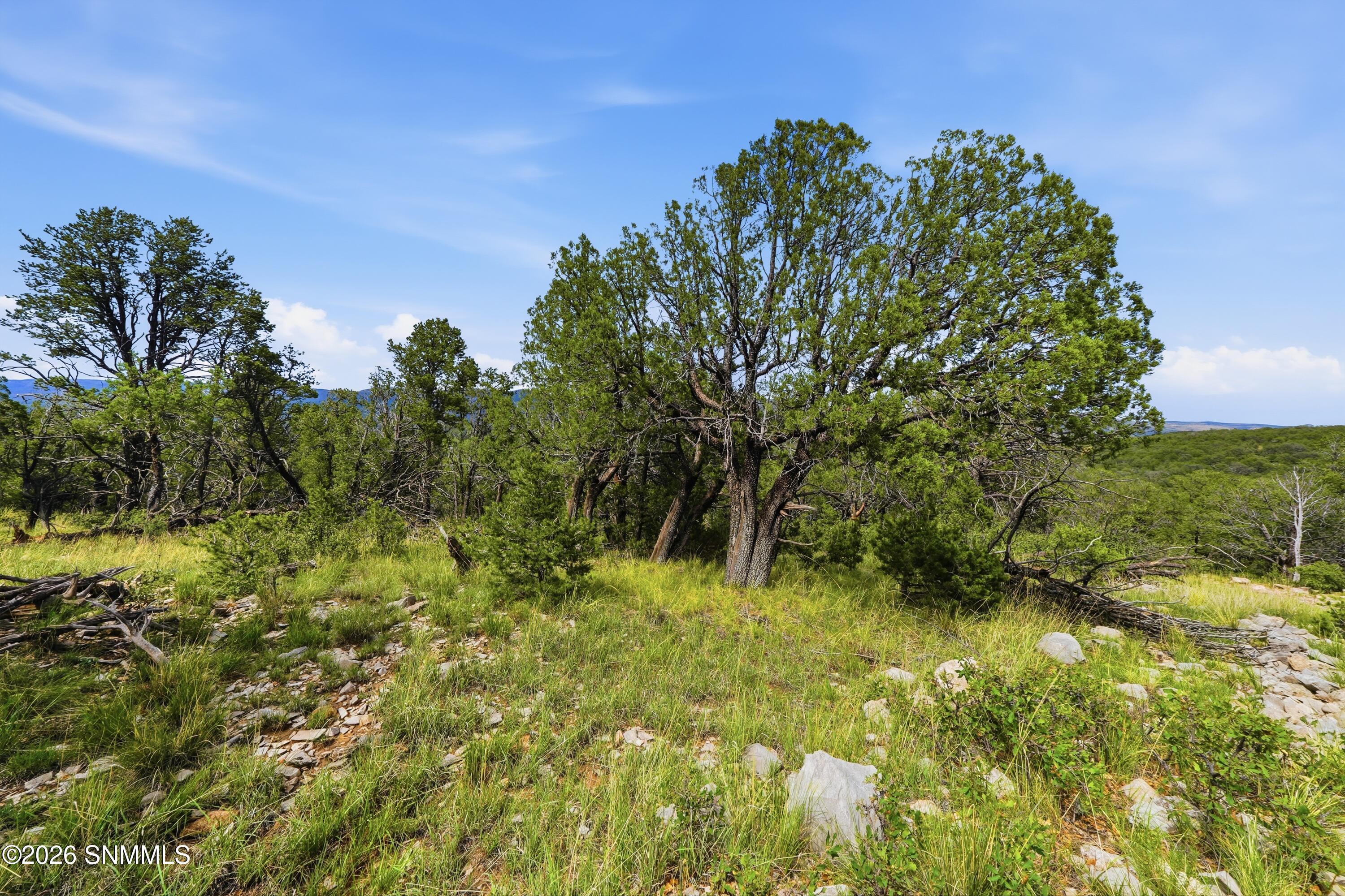 Tbd Mountainaire Drive Property Photo 8