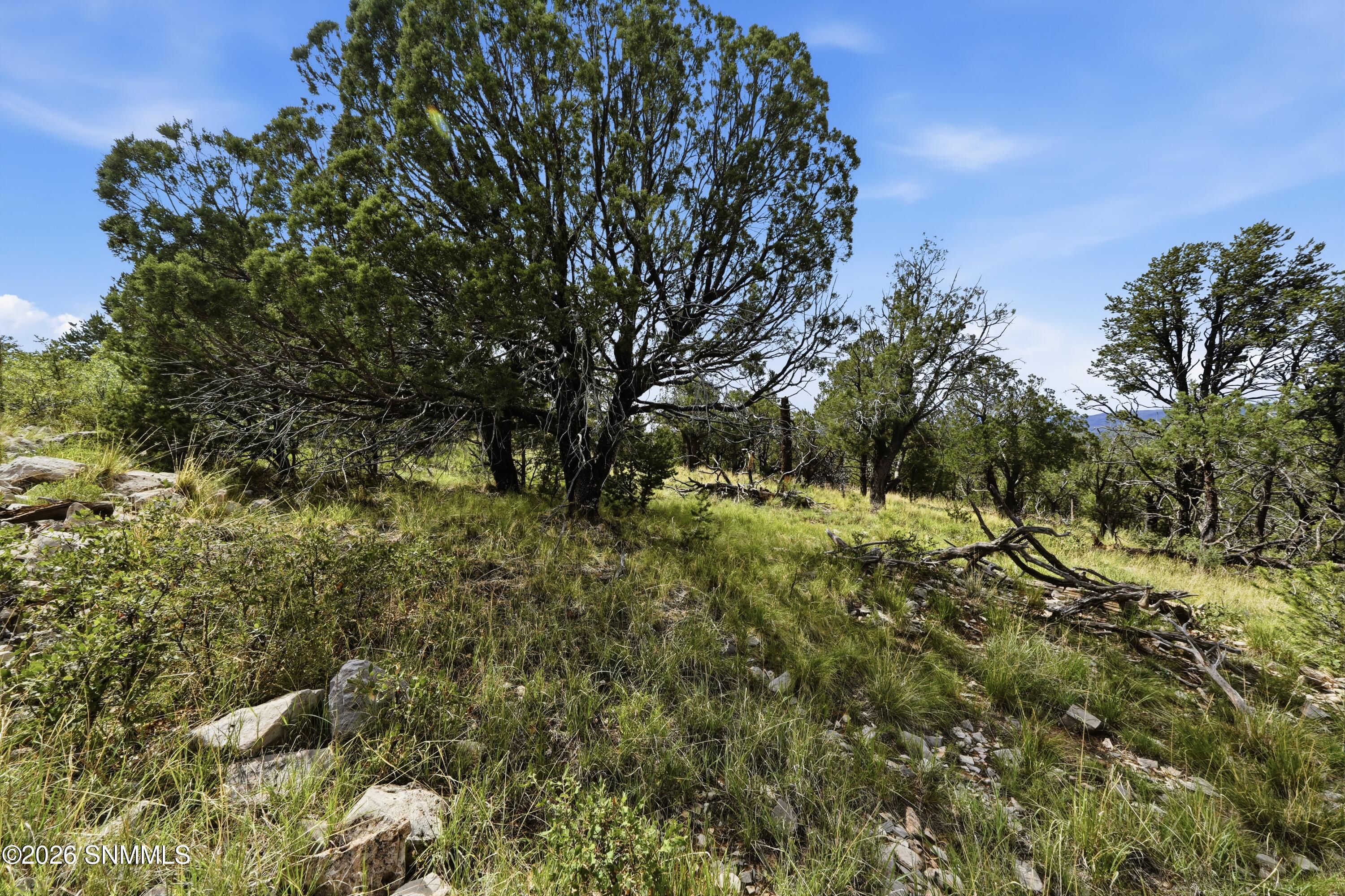 Tbd Mountainaire Drive Property Photo 9