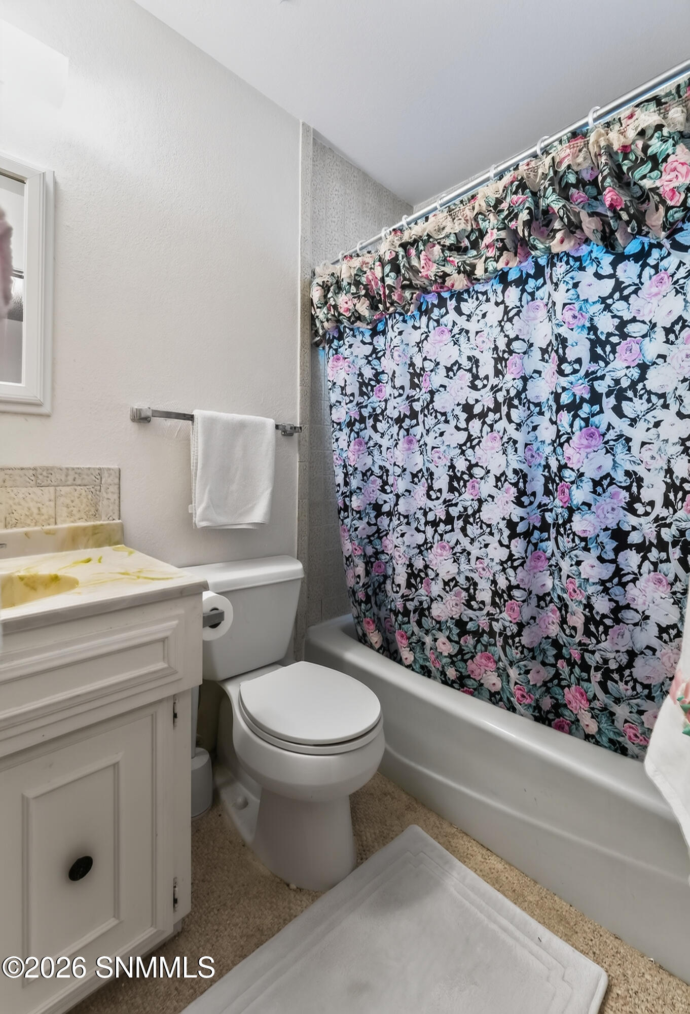 208 Magic Shadow Drive Property Photo 23