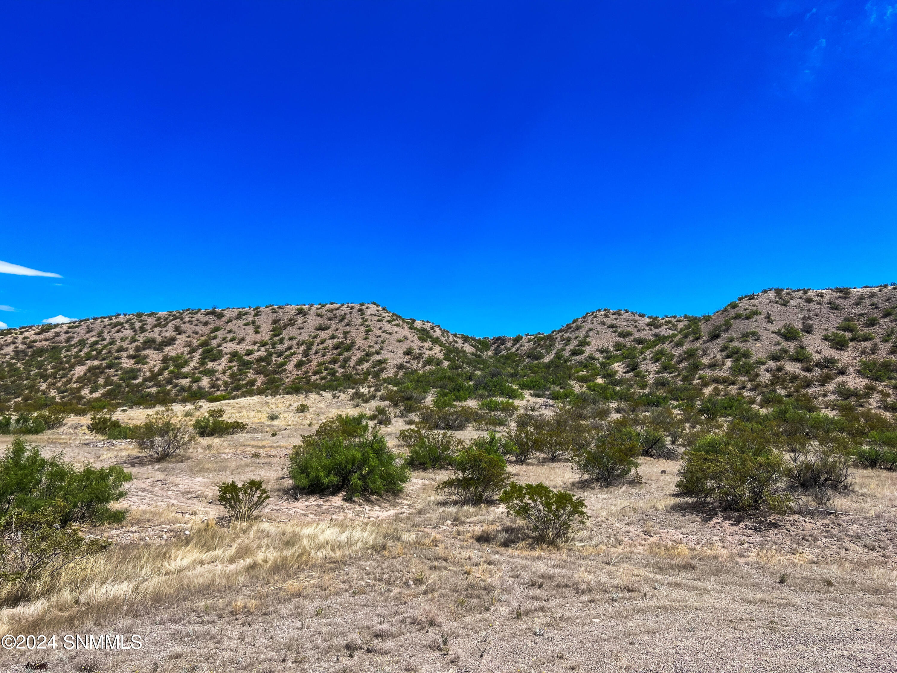 81 Berrenda Creek Property Photo 5