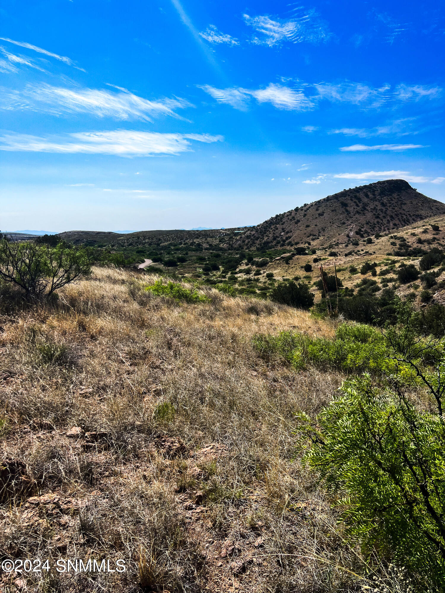 81 Berrenda Creek Property Photo 7