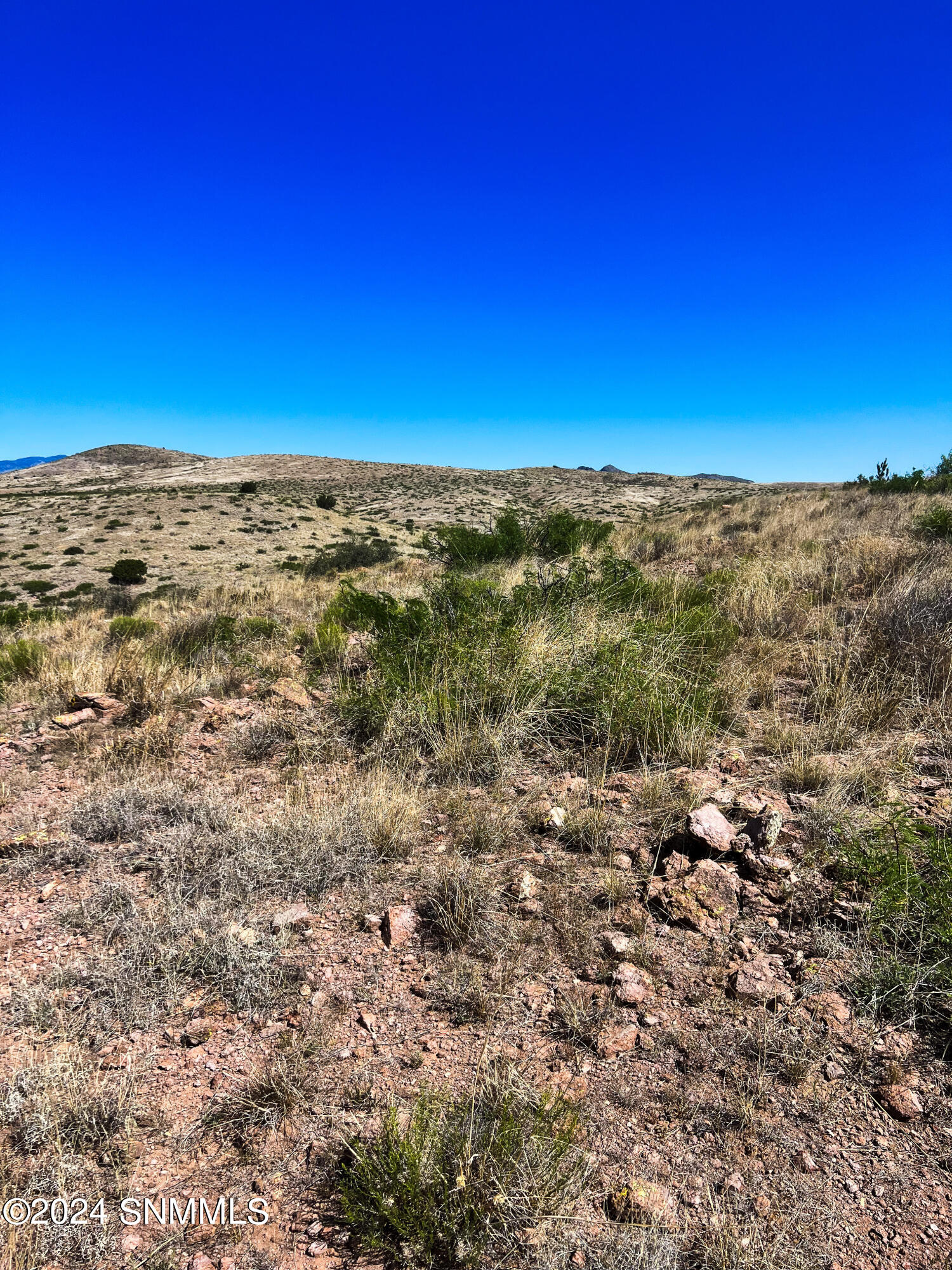 81 Berrenda Creek Property Photo 10
